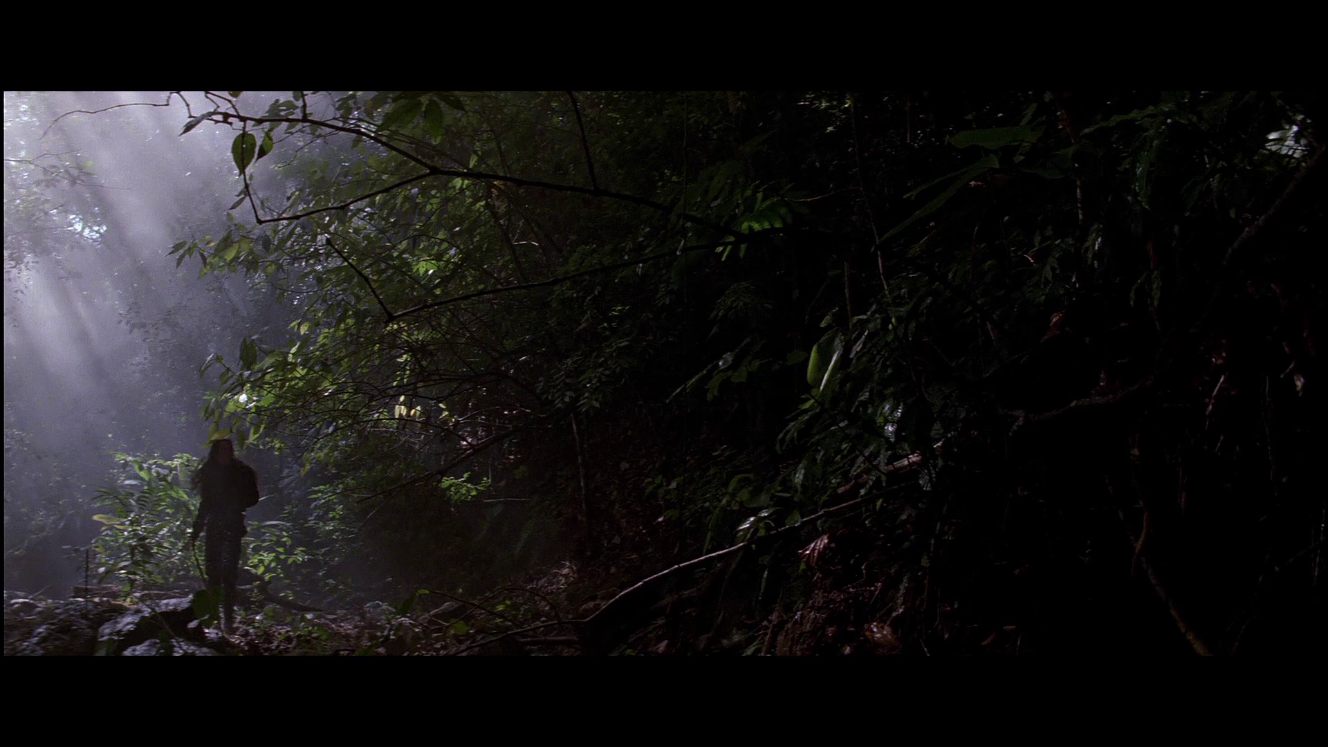 vlcsnap-2024-07-28-20h27m28s002 - Copy.png