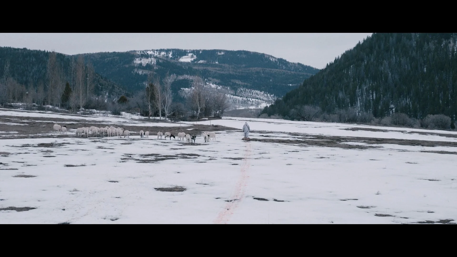 Wind River_t00.mkv_20260802_181602.985.jpg
