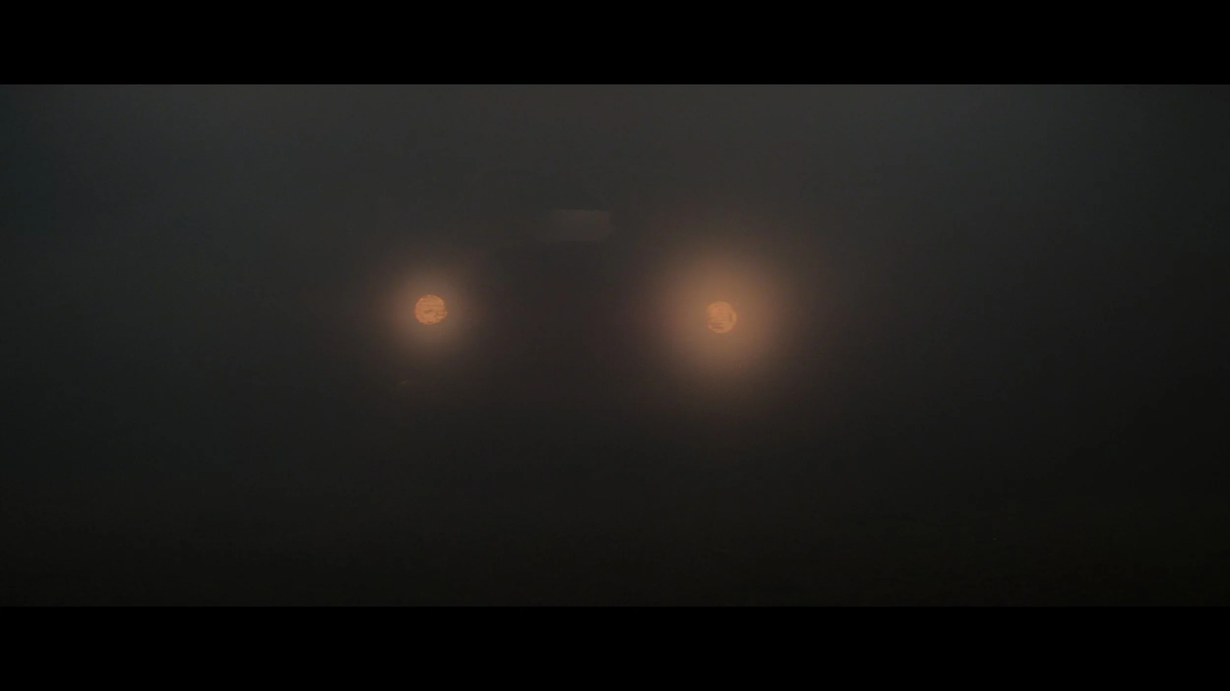The Fog_t02.mkv_20260528_120535.490.jpg