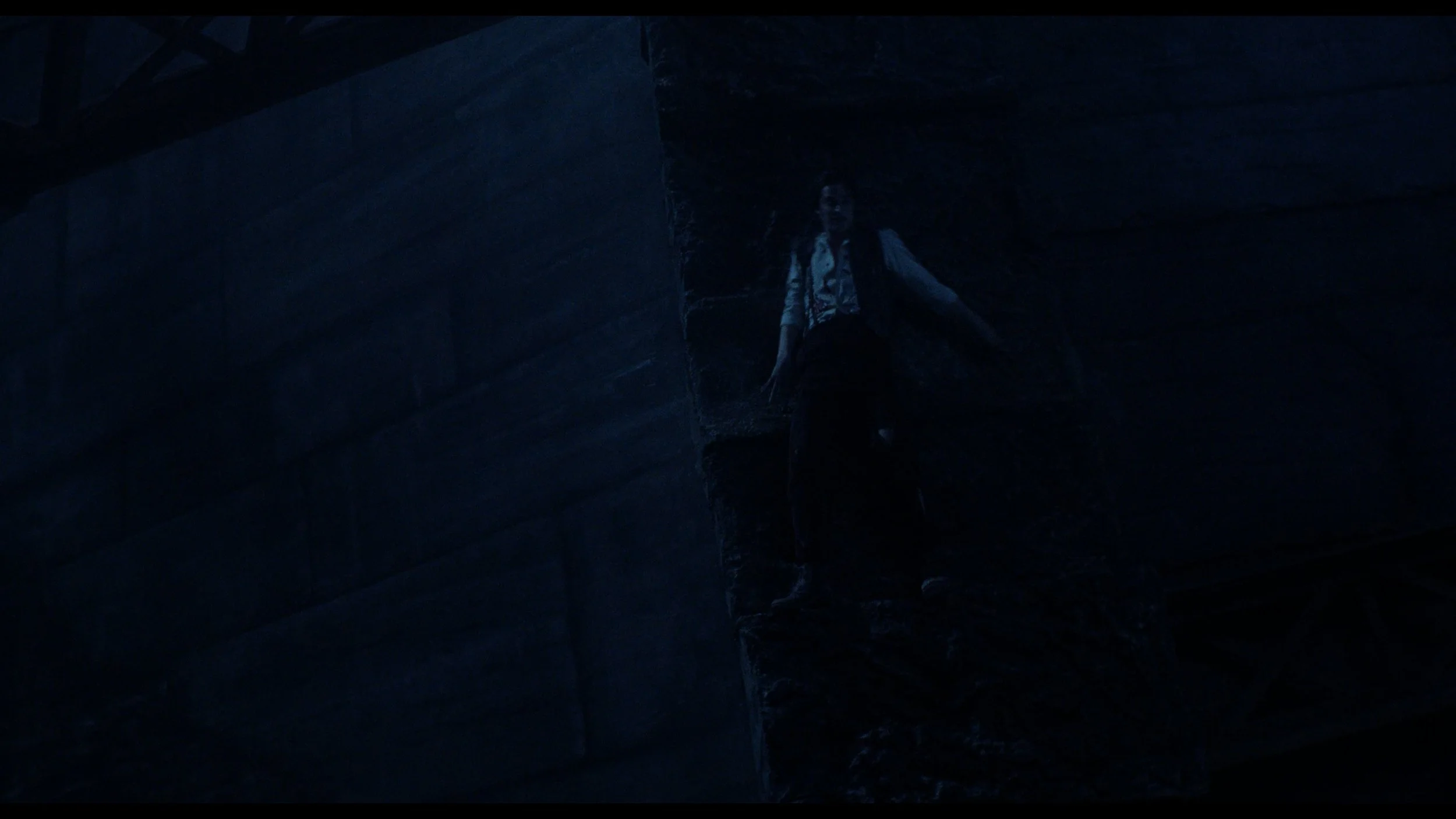 Bram Stoker's Dracula_t01.mkv_20260515_143047.530.jpg