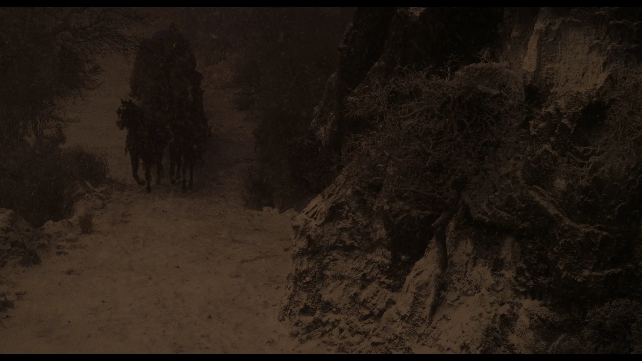 Bram Stoker's Dracula_t01.mkv_20260515_143553.476.jpg