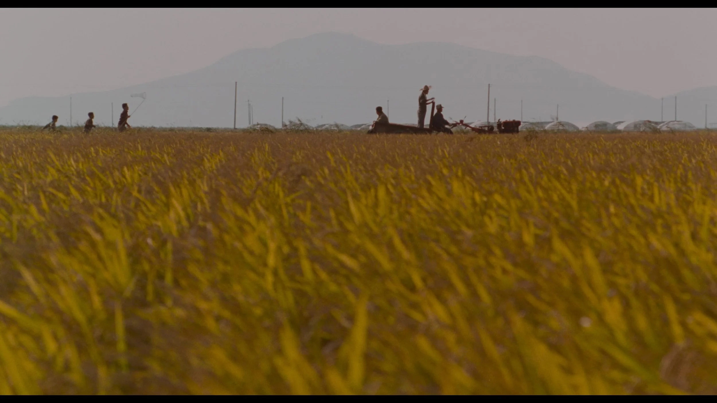 Memories Of Murder_t00.mkv_20260419_121926.119.jpg