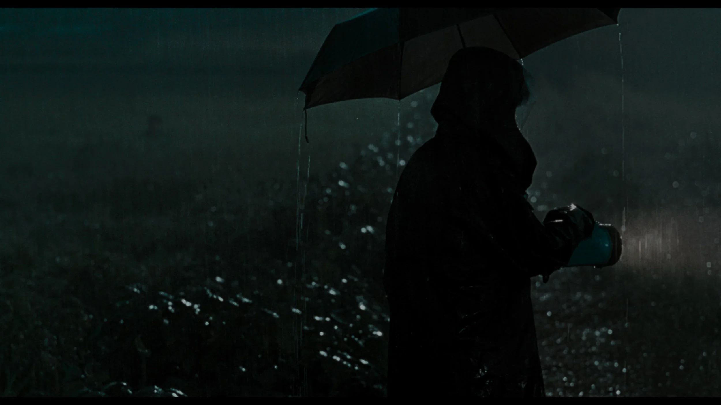 Memories Of Murder_t00.mkv_20260419_122545.424.jpg