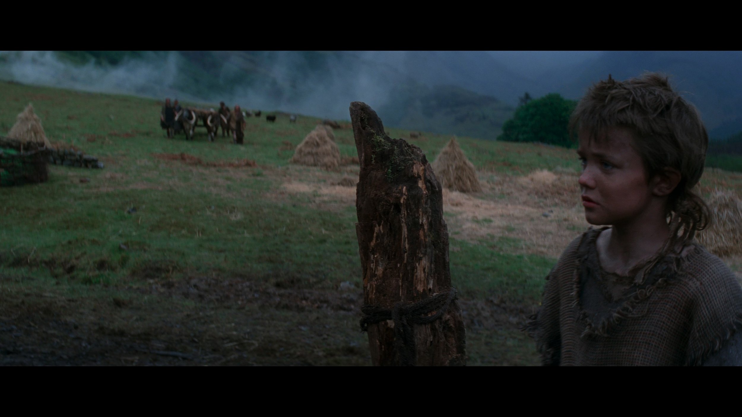Braveheart_t00.mkv_20260517_152439.485.jpg