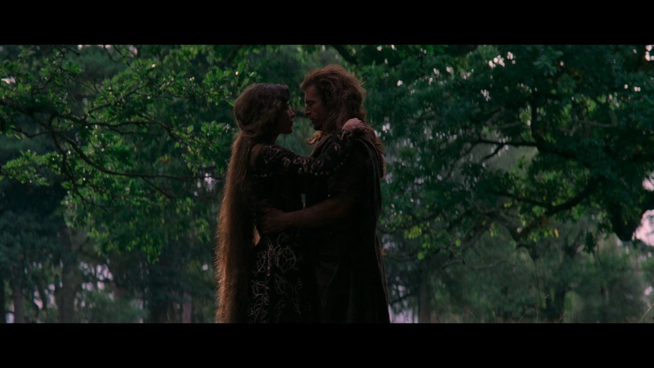 Braveheart_t00.mkv_20260517_153945.729.jpg