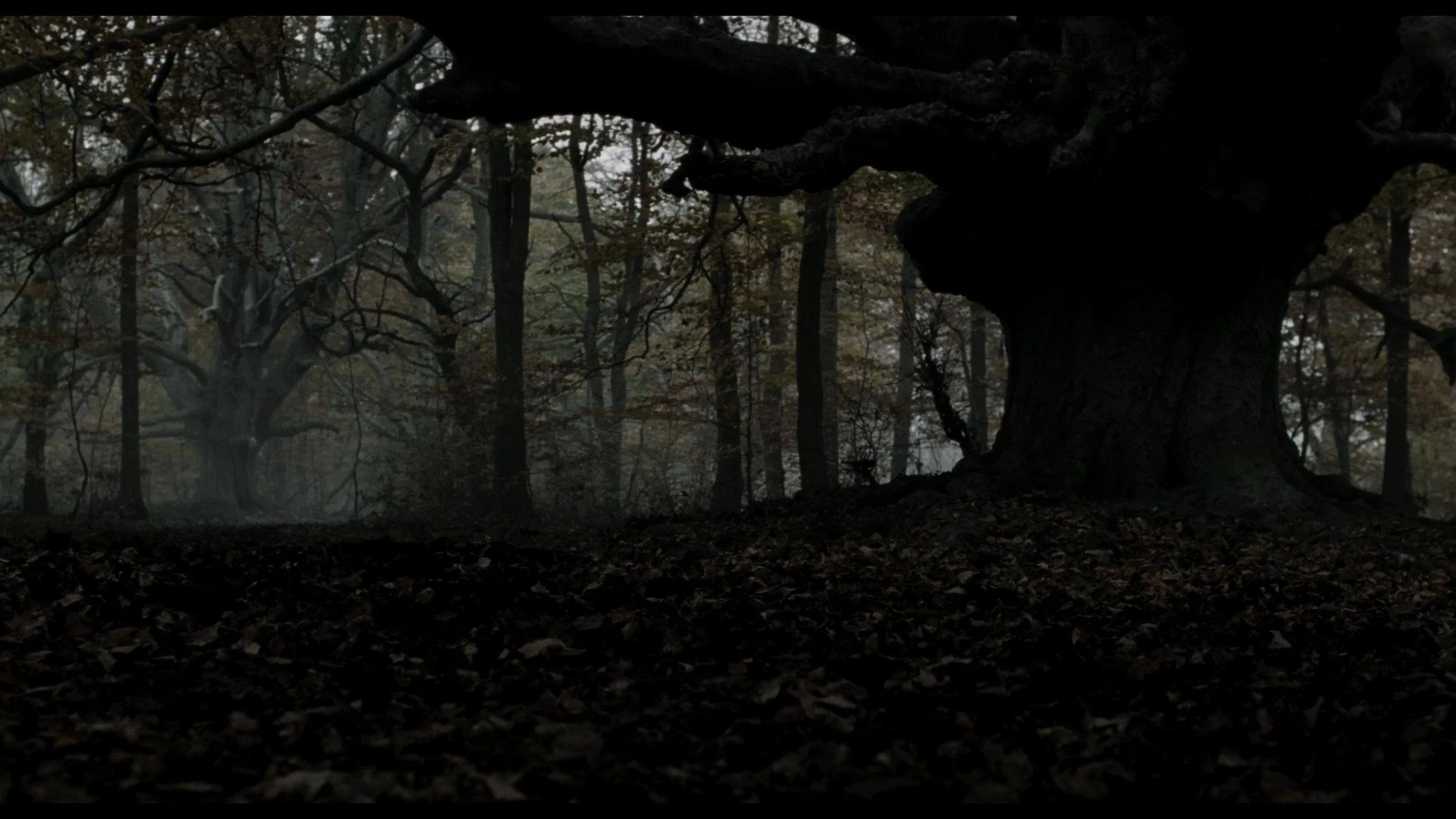 Sleepy Hollow (Remastered)_t00.mkv_20260513_215048.312.jpg