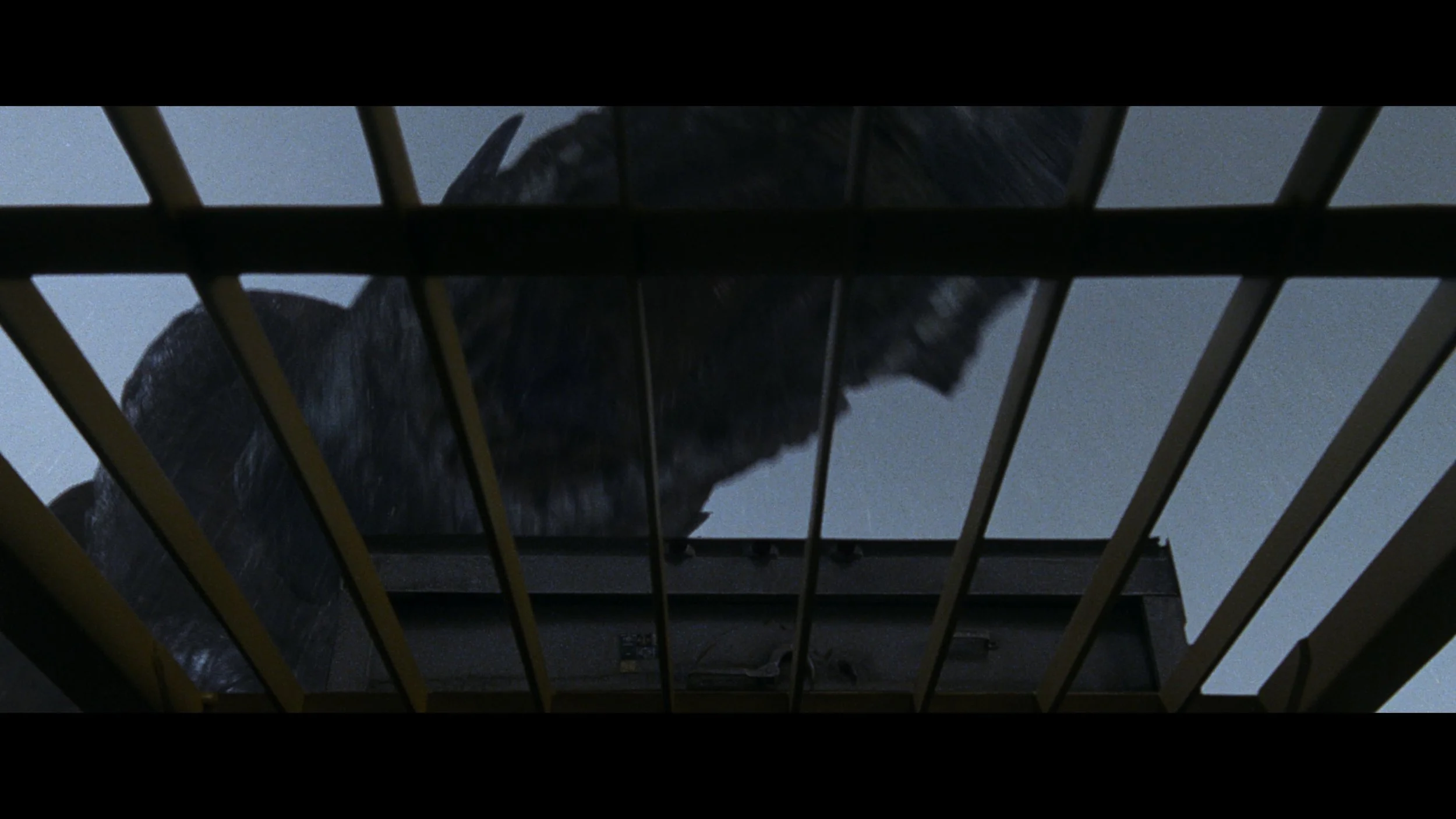 Godzilla (1998)_t00.mkv_20260515_122143.226.jpg