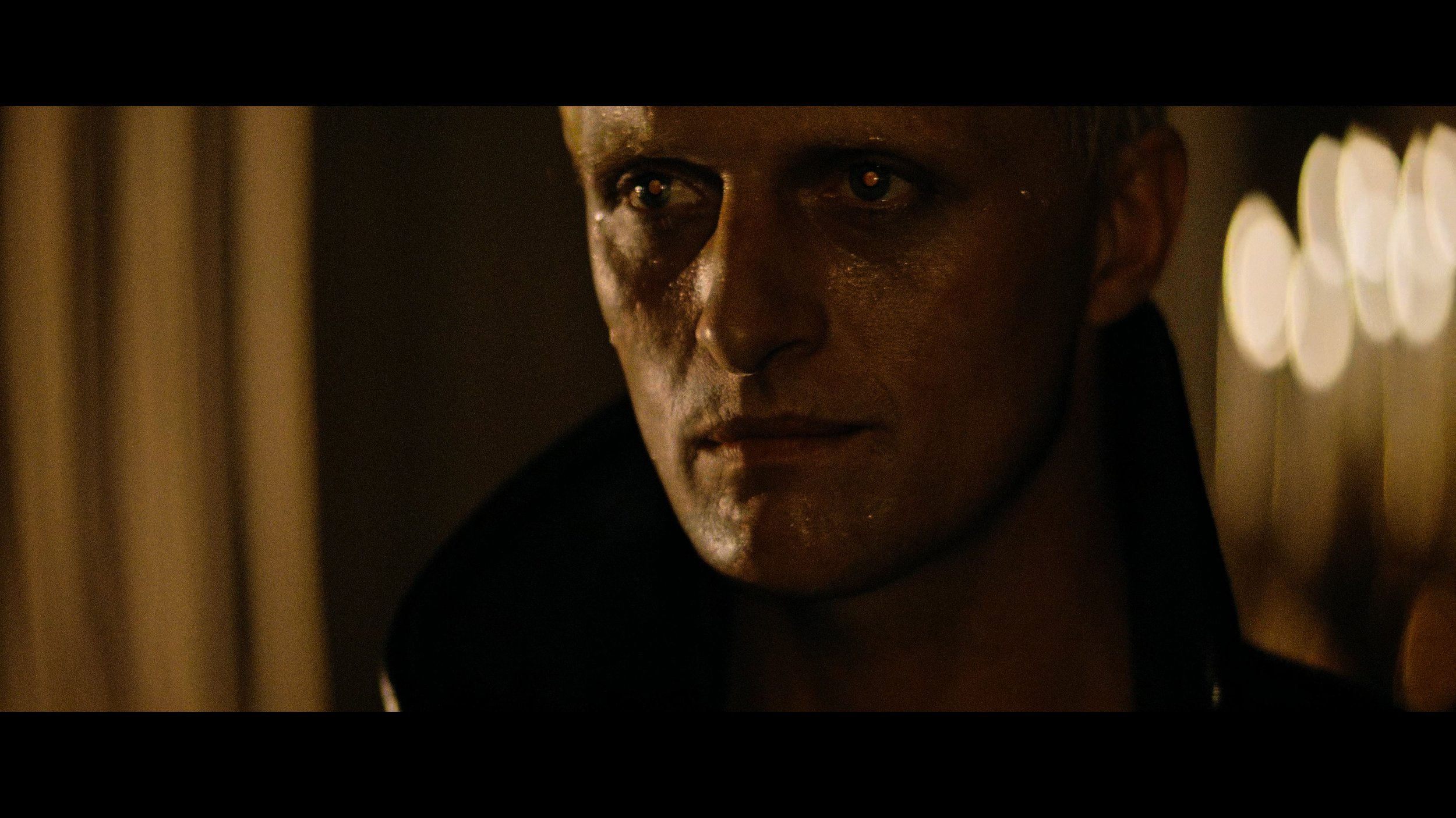 Blade Runner- The Final Cut_t00.mkv_20260514_211158.336.jpg