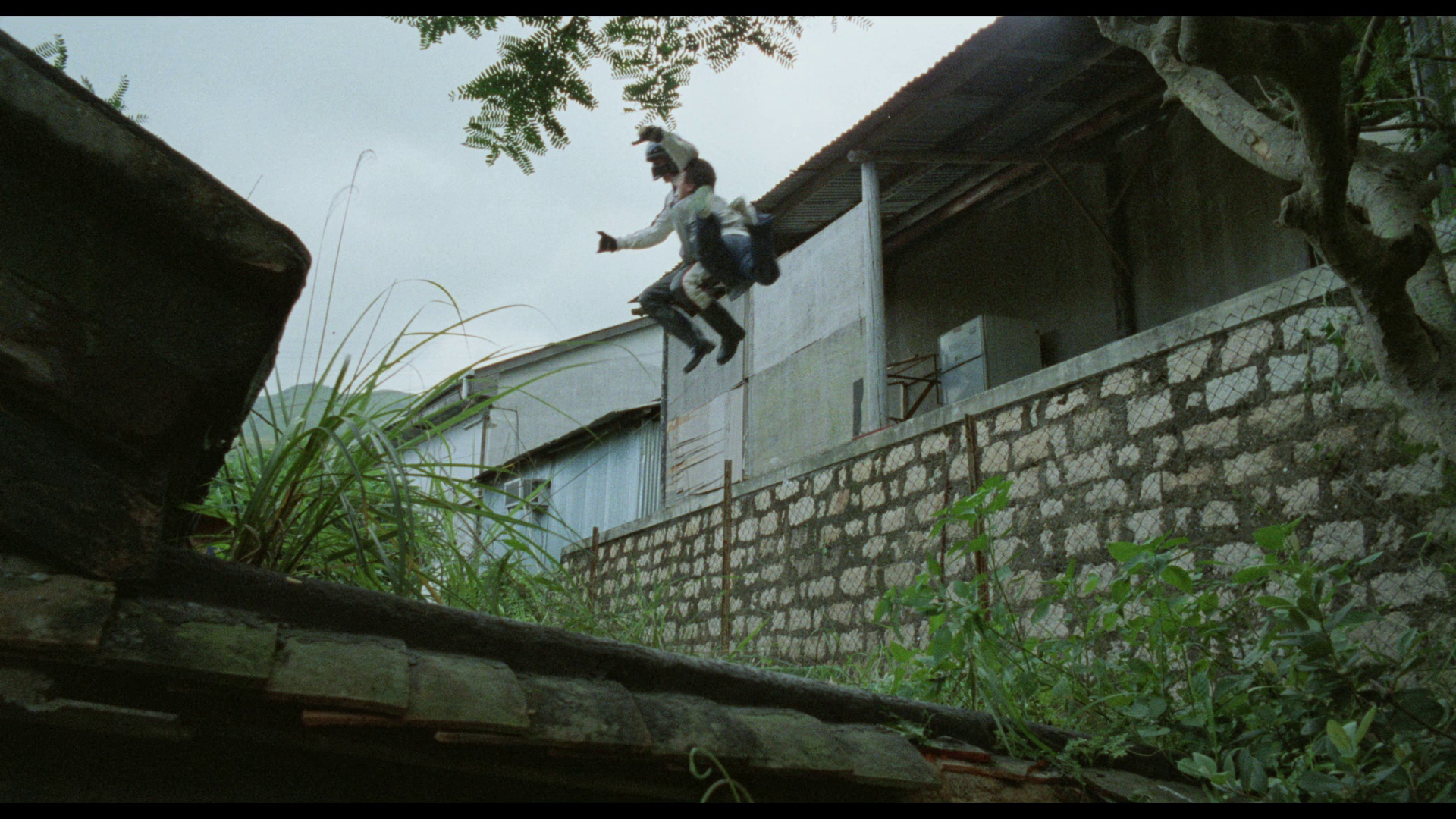  1980s, Sammo Hung 