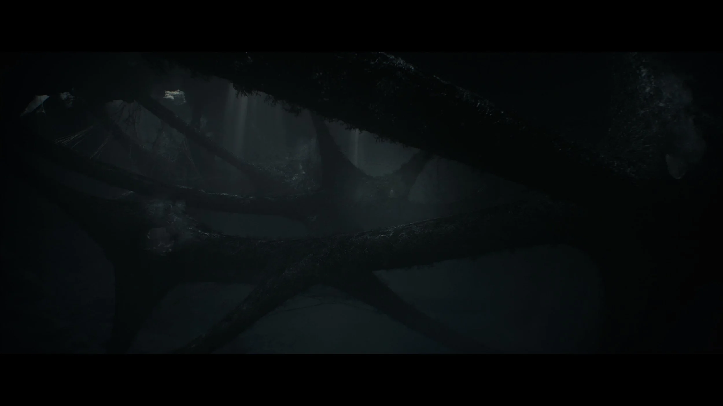 Monster Hunter (2020)_t00.mkv_20260526_105122.568.jpg