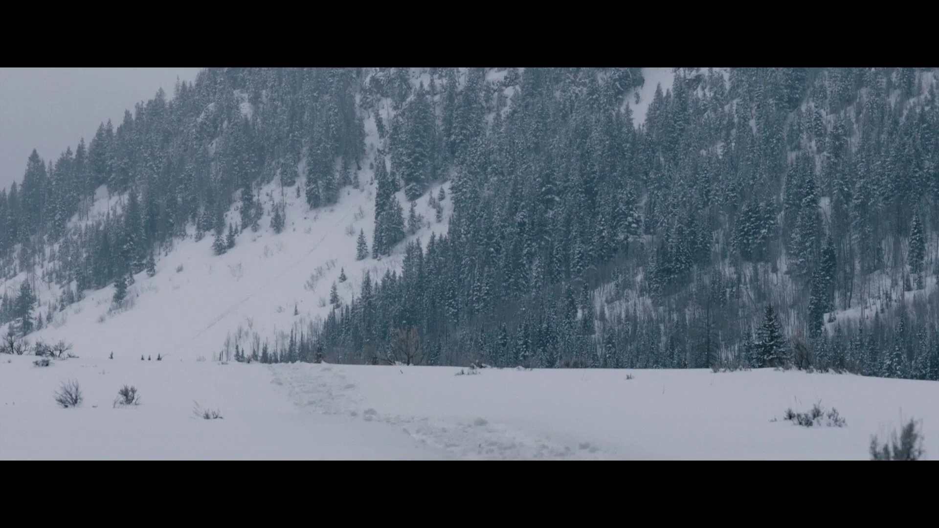 Wind River_t00.mkv_20260802_182045.560.jpg