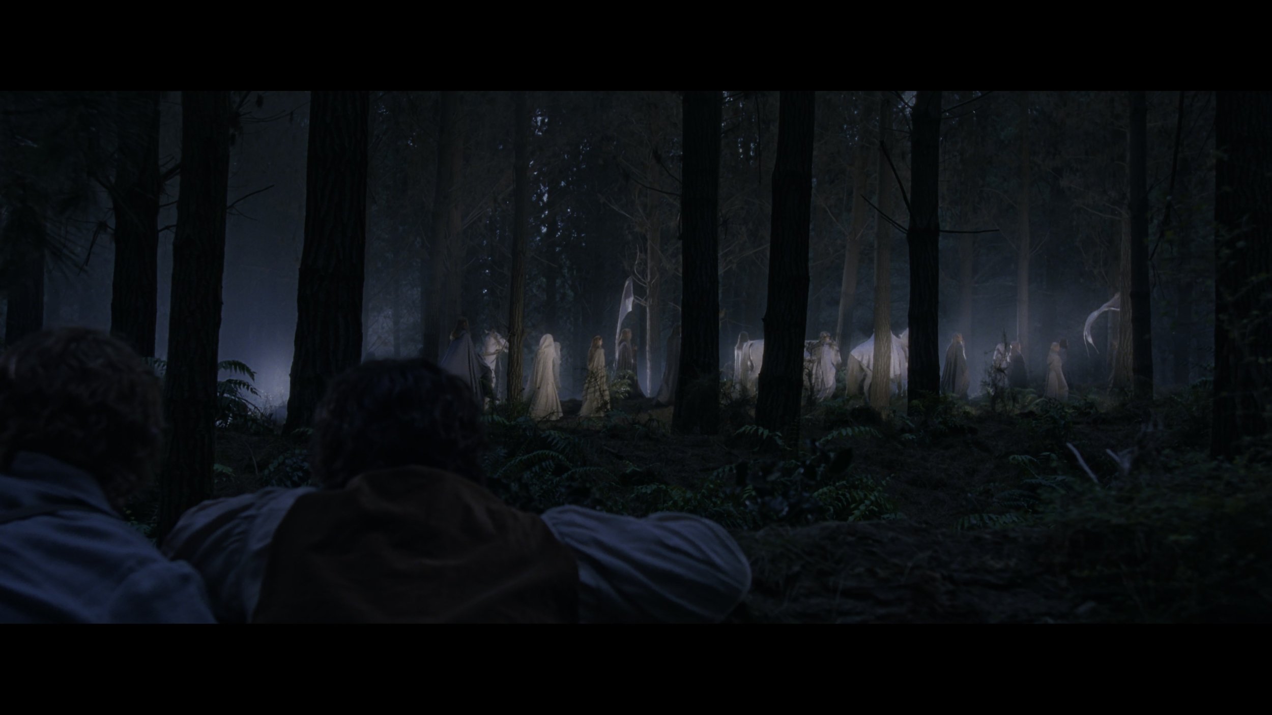 The Lord of the Rings- The Fellowship of the Ring (EXT.) PT. 1_t05.mkv_20251212_202912.156.jpg