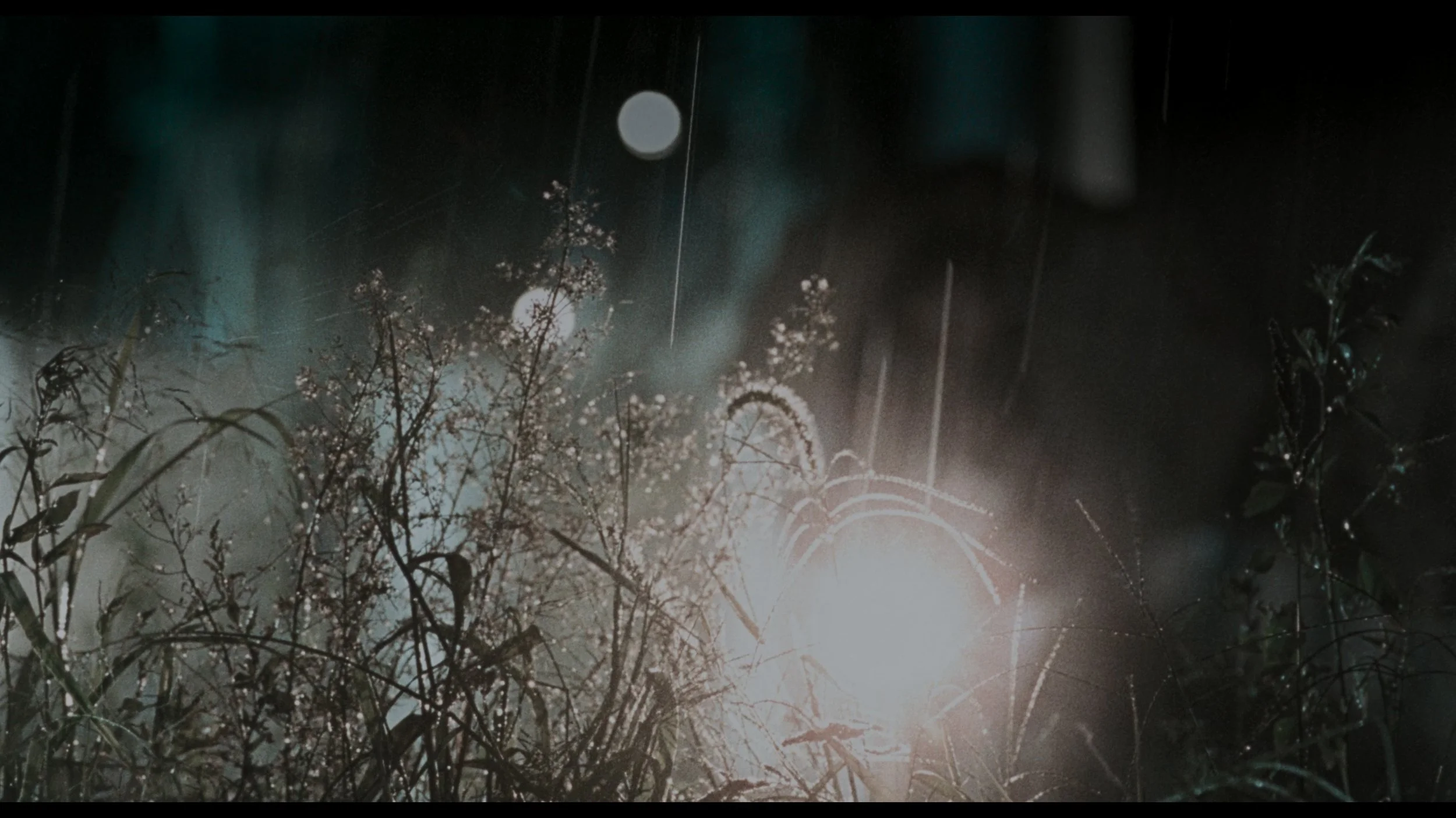 Memories Of Murder_t00.mkv_20260419_122609.668.jpg