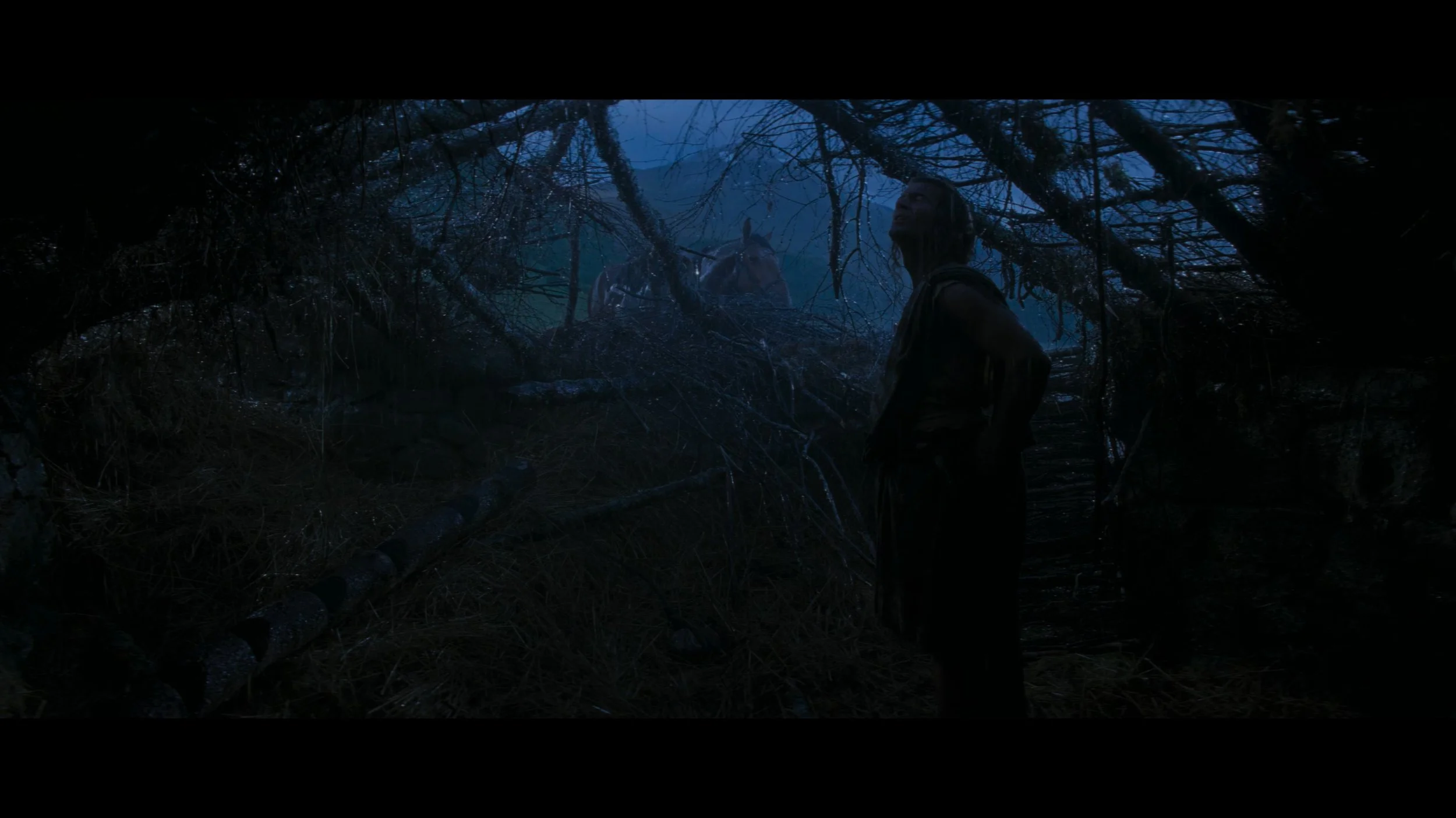 Braveheart_t00.mkv_20260517_152753.843.jpg