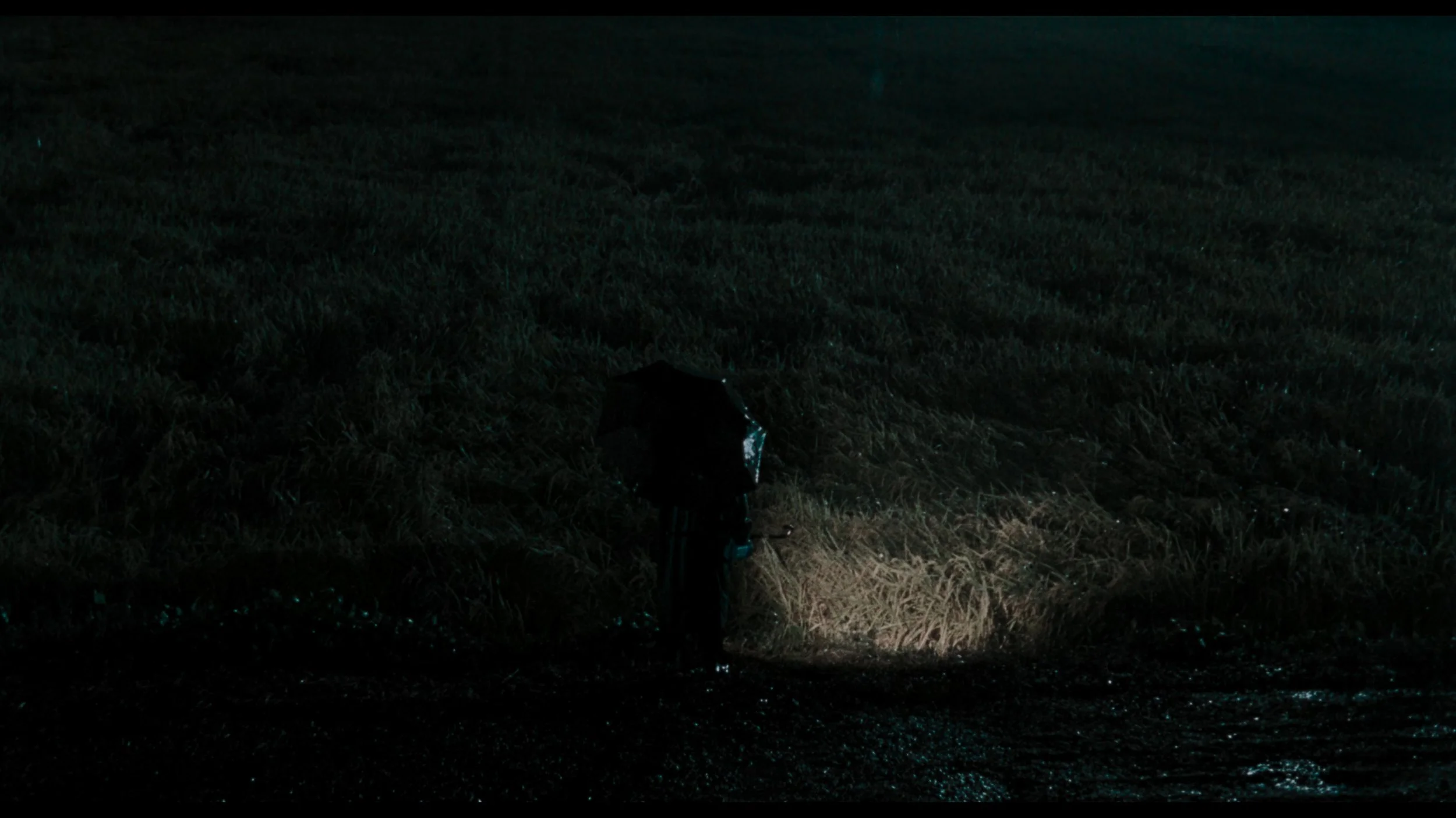 Memories Of Murder_t00.mkv_20260419_122624.111.jpg