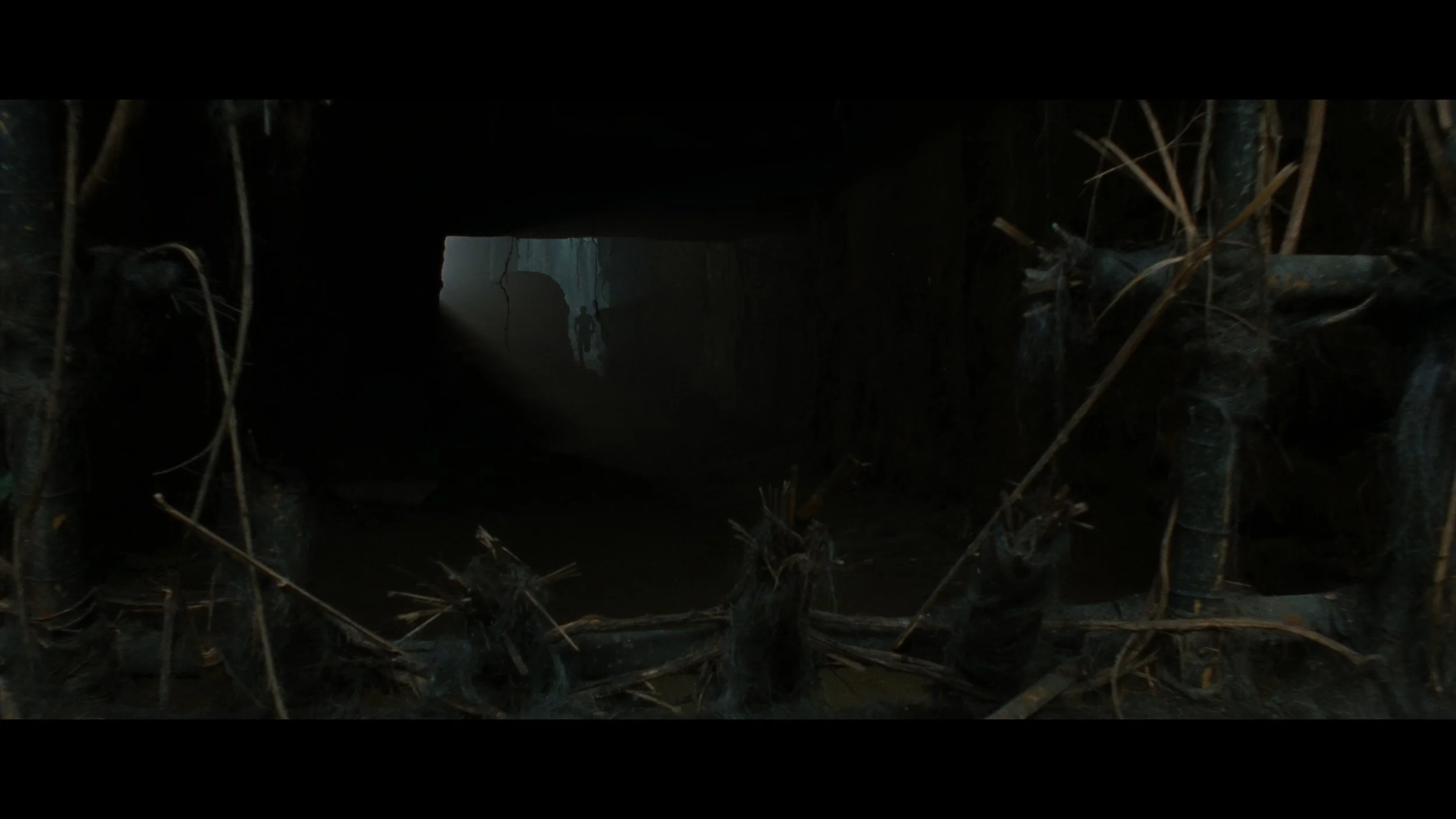 BROTHERHOOD OF THE WOLF_t00.mkv_20251206_204747.309.jpg