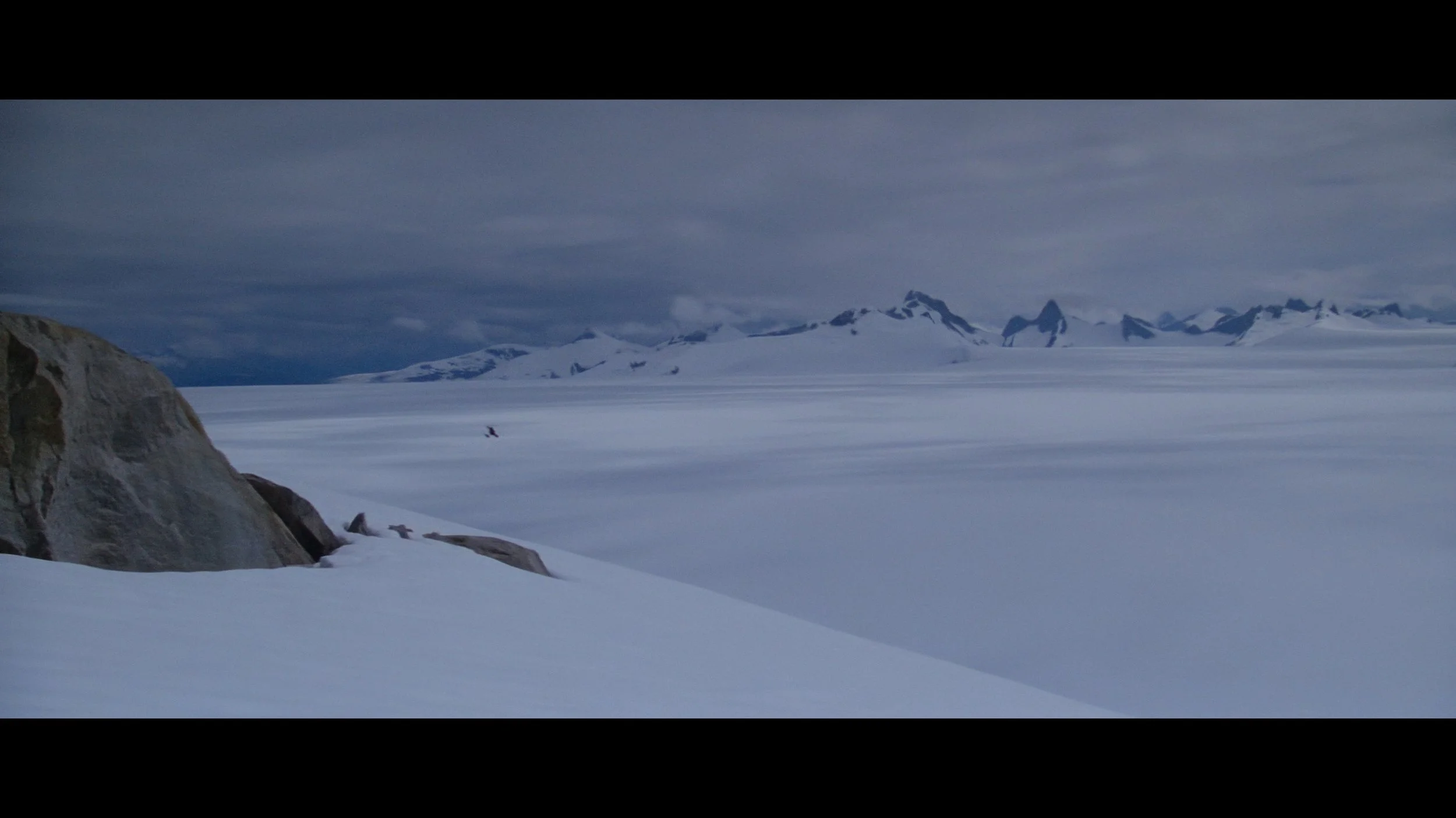 The Thing-SEG_MainFeature_t01.mkv_20260225_230210.579.jpg