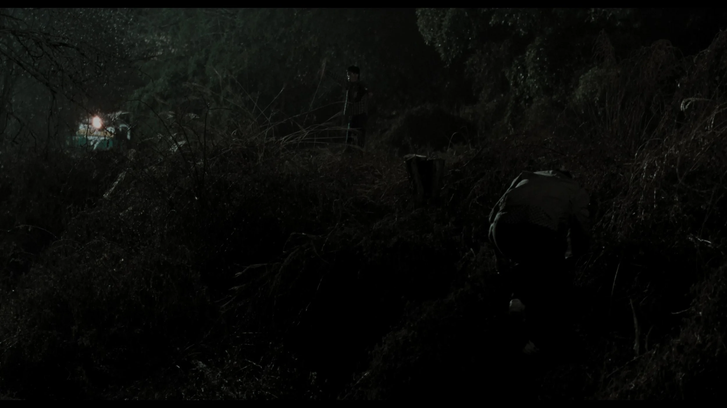 Memories Of Murder_t00.mkv_20260419_123143.431.jpg