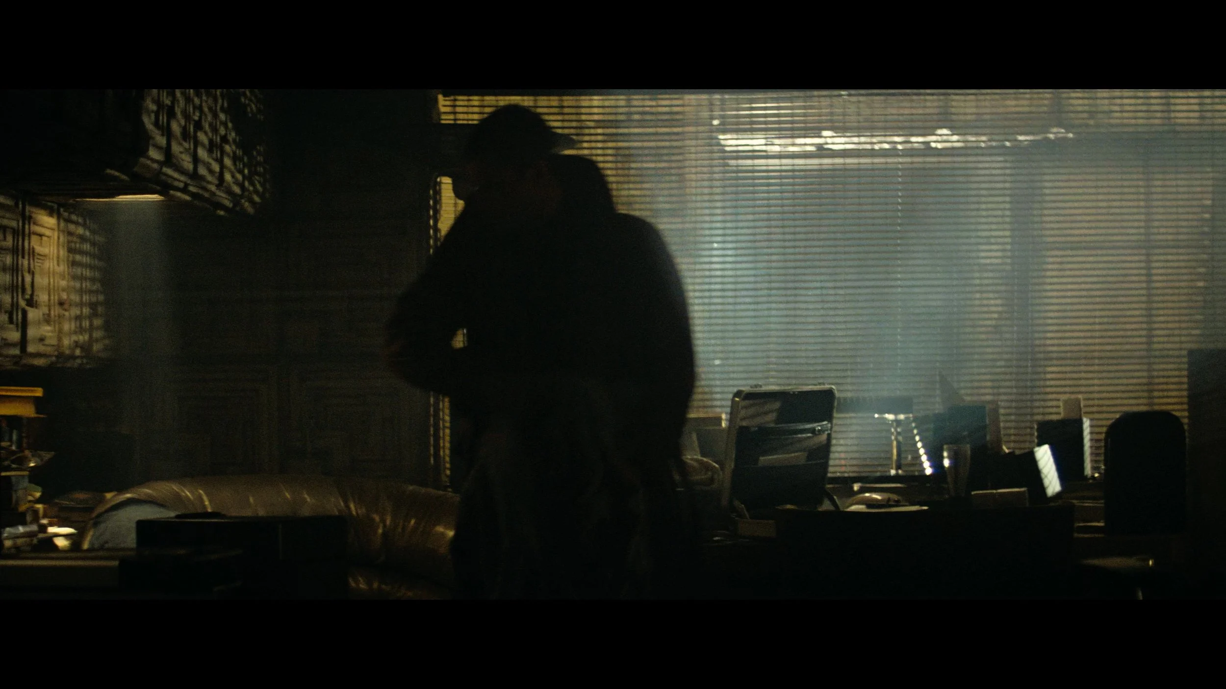 Blade Runner- The Final Cut_t00.mkv_20260514_210433.285.jpg
