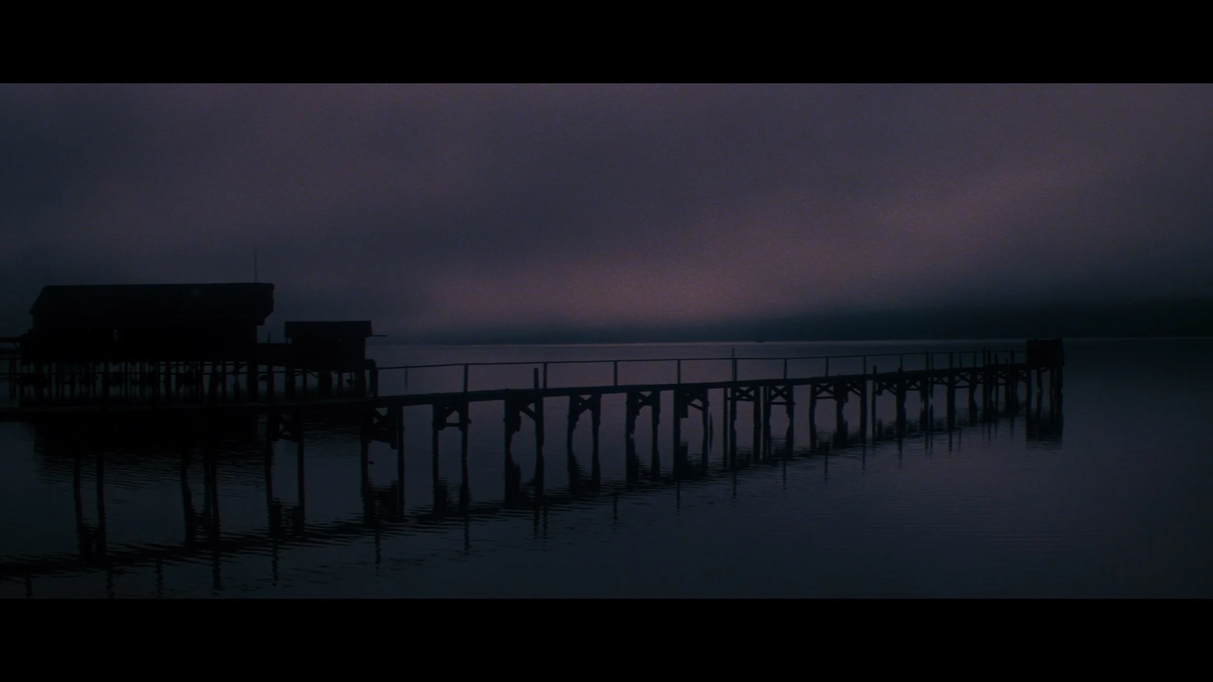 The Fog_t02.mkv_20260528_120345.800.jpg