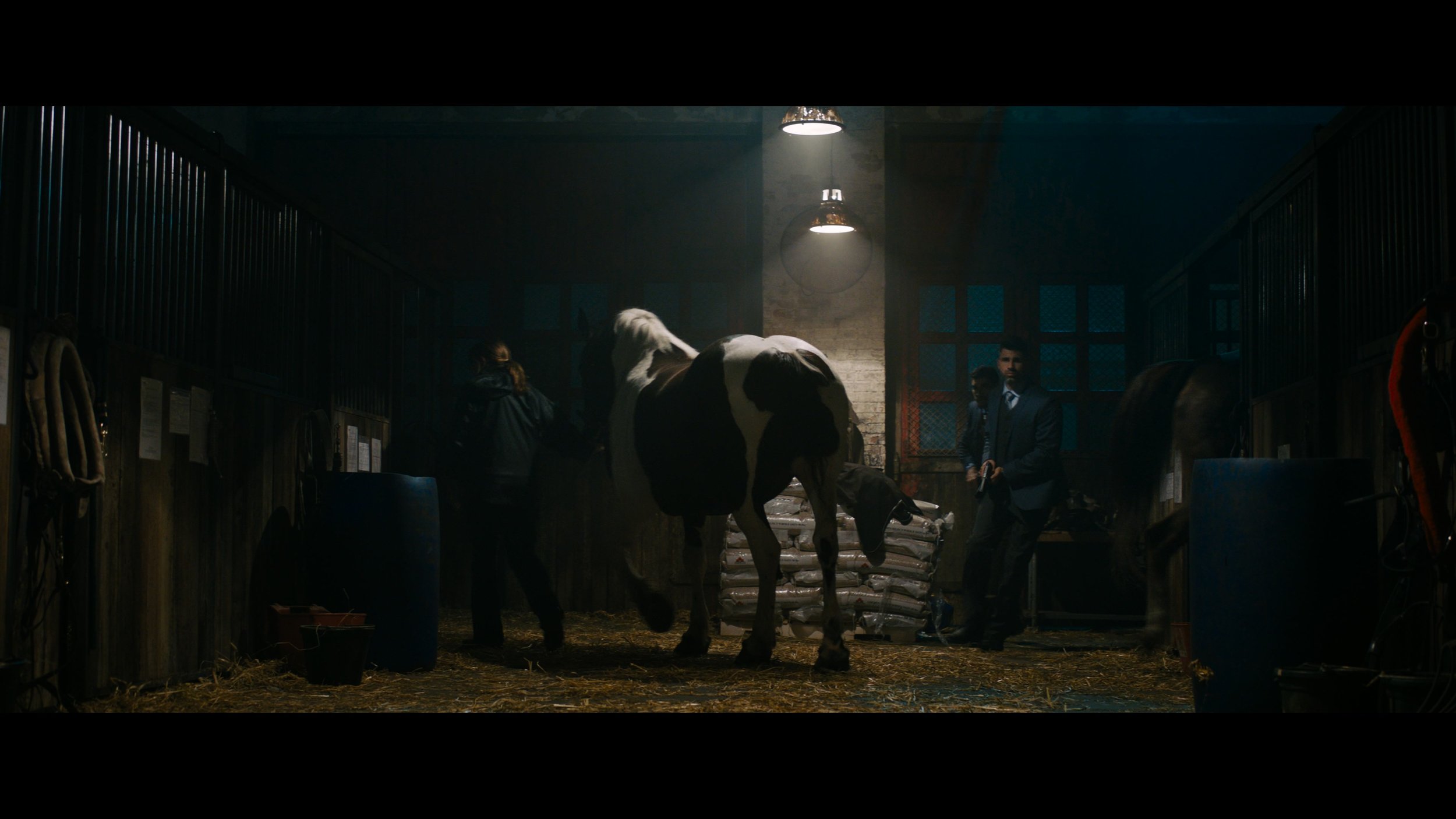 John Wick 3- Parabellum_t00.mkv_20260523_001817.275.jpg