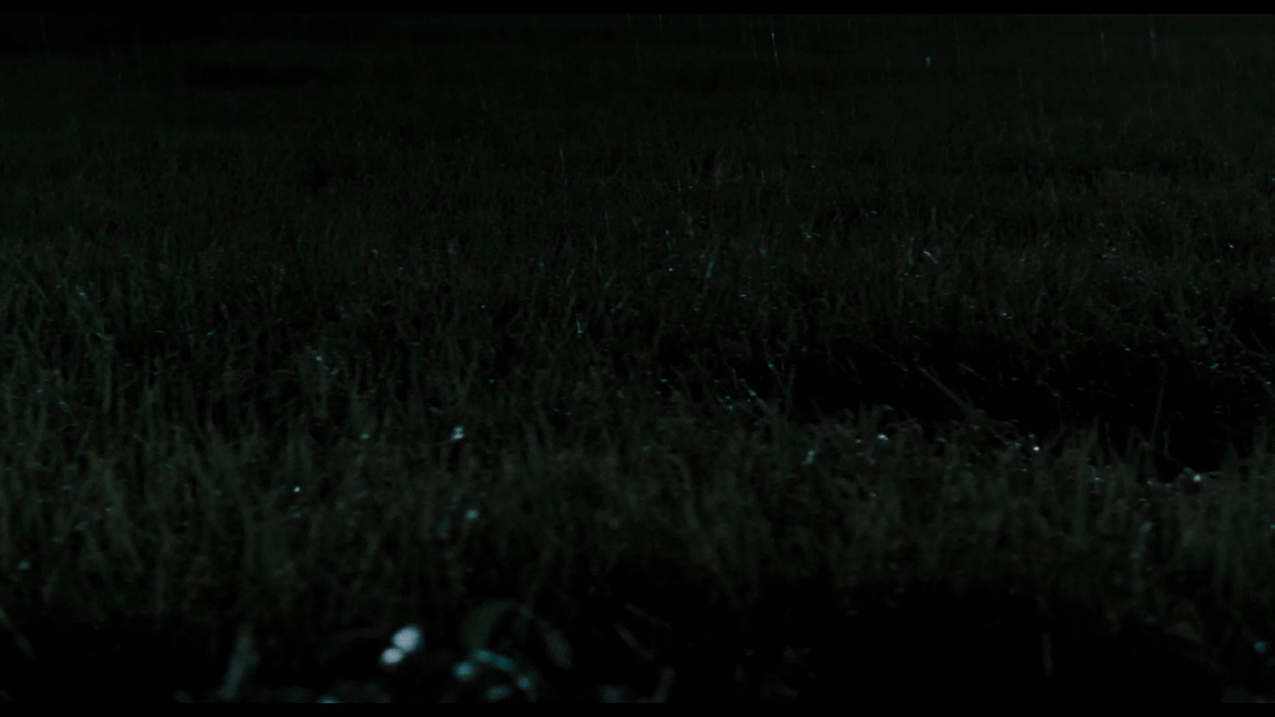 Memories Of Murder_t00.mkv_20260419_122530.975.jpg