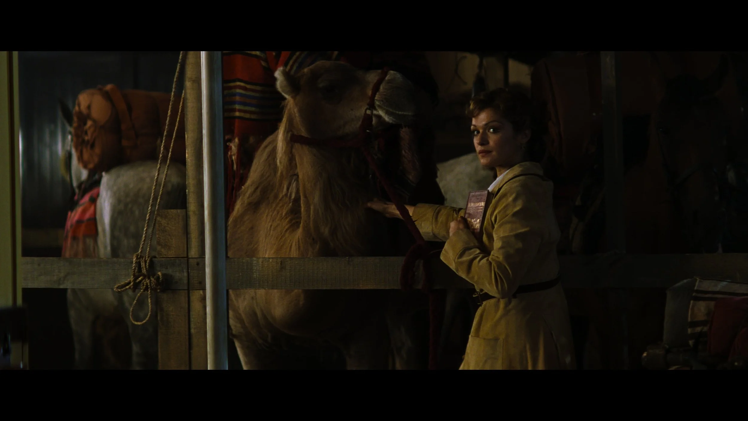 The Mummy_t01.mkv_20260511_202529.858.jpg