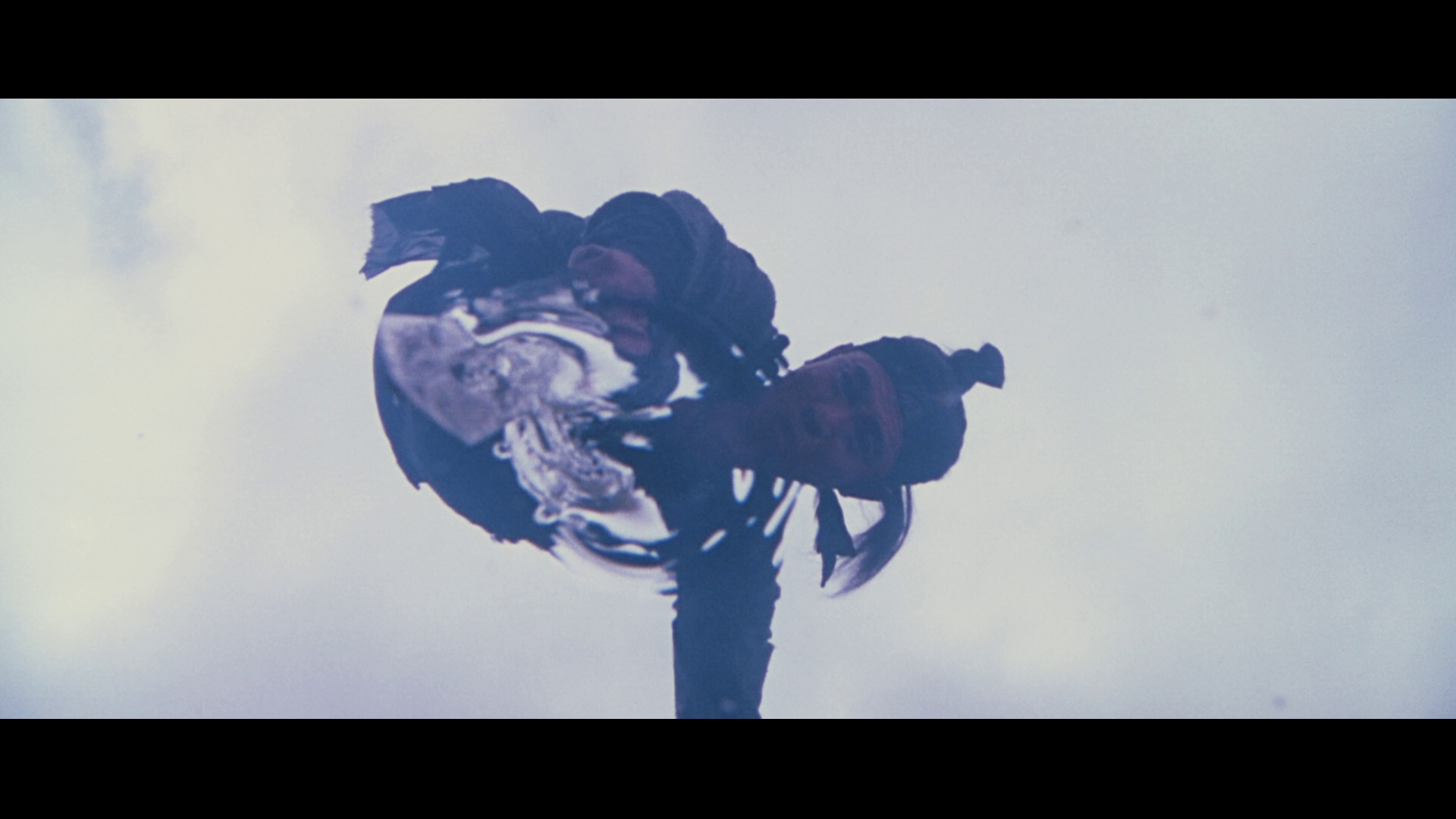 vlcsnap-2024-07-13-19h15m17s566.png