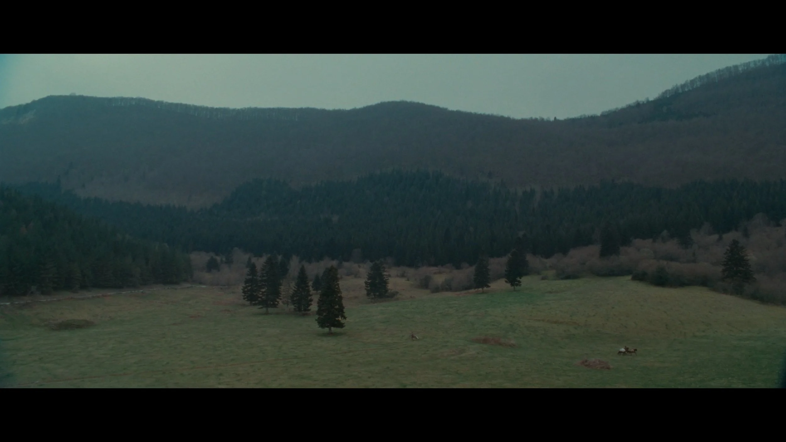 BROTHERHOOD OF THE WOLF_t00.mkv_20251206_204234.227.jpg