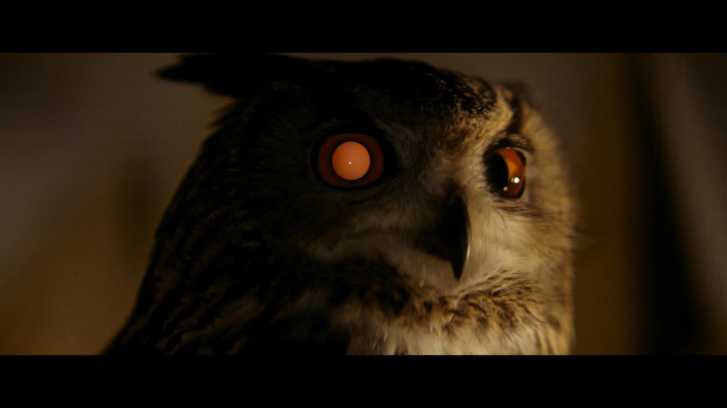 Blade Runner- The Final Cut_t00.mkv_20260514_211148.098.jpg