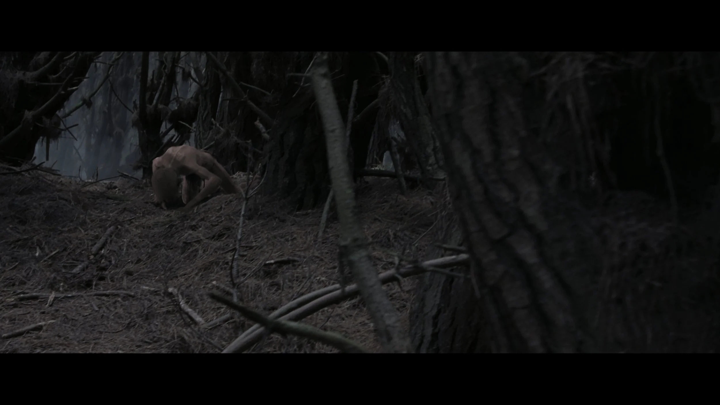 The Lord of the Rings- The Two Towers (EXT.) PT. 2-SEG FPL_MainFeature_t03.mkv_20260308_201806.544.jpg