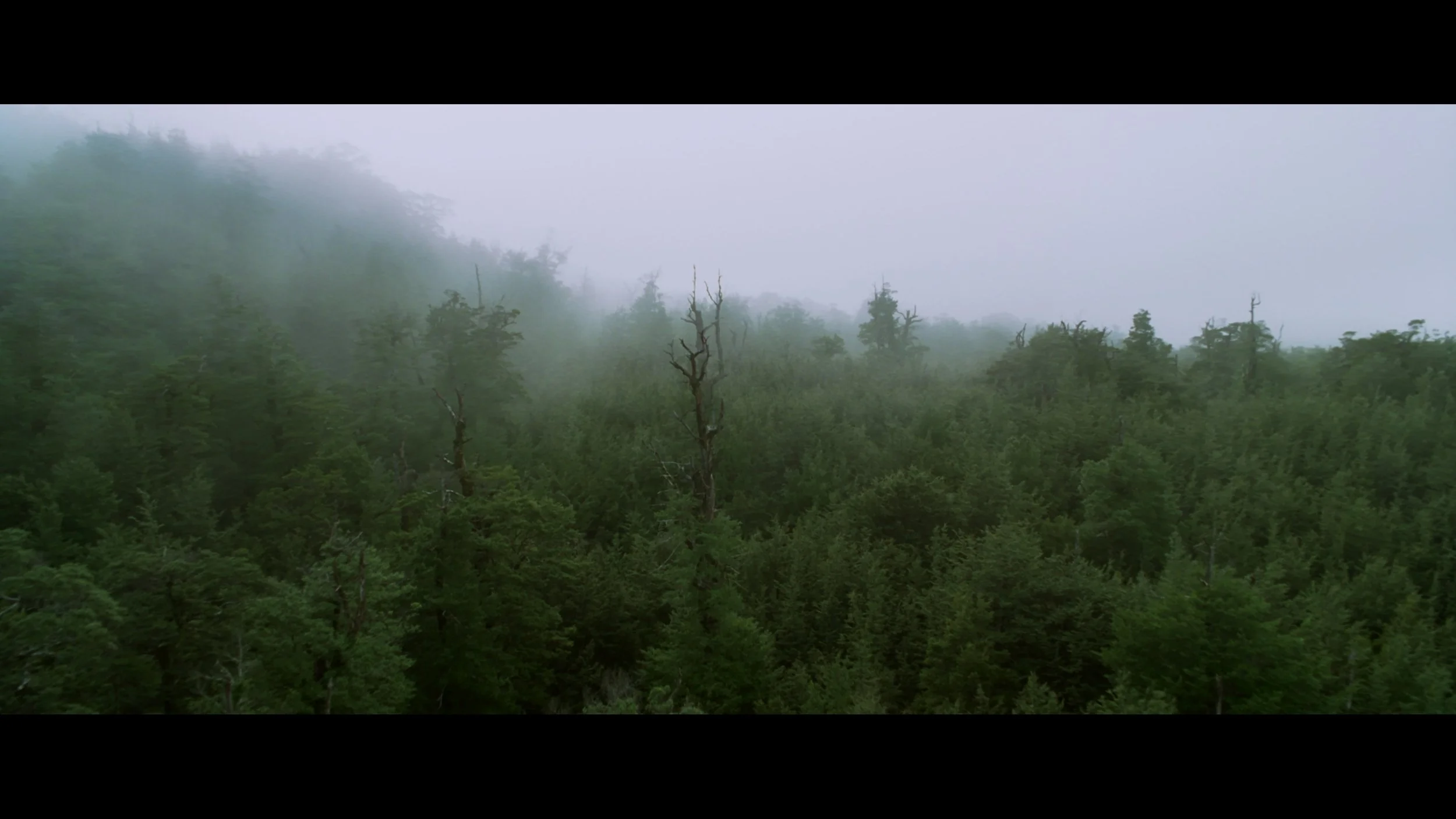 The Lord of the Rings- The Two Towers (EXT.) PT. 1-SEG FPL_MainFeature_t03.mkv_20260308_103743.872.jpg