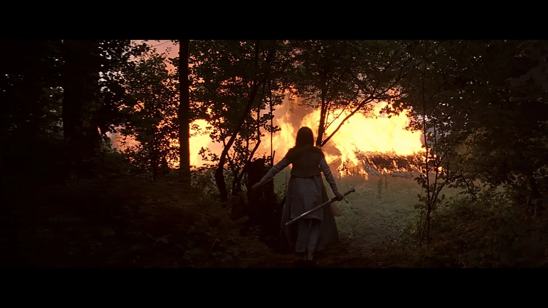 Joan of Arc_t00.mkv_20260802_175634.313.jpg