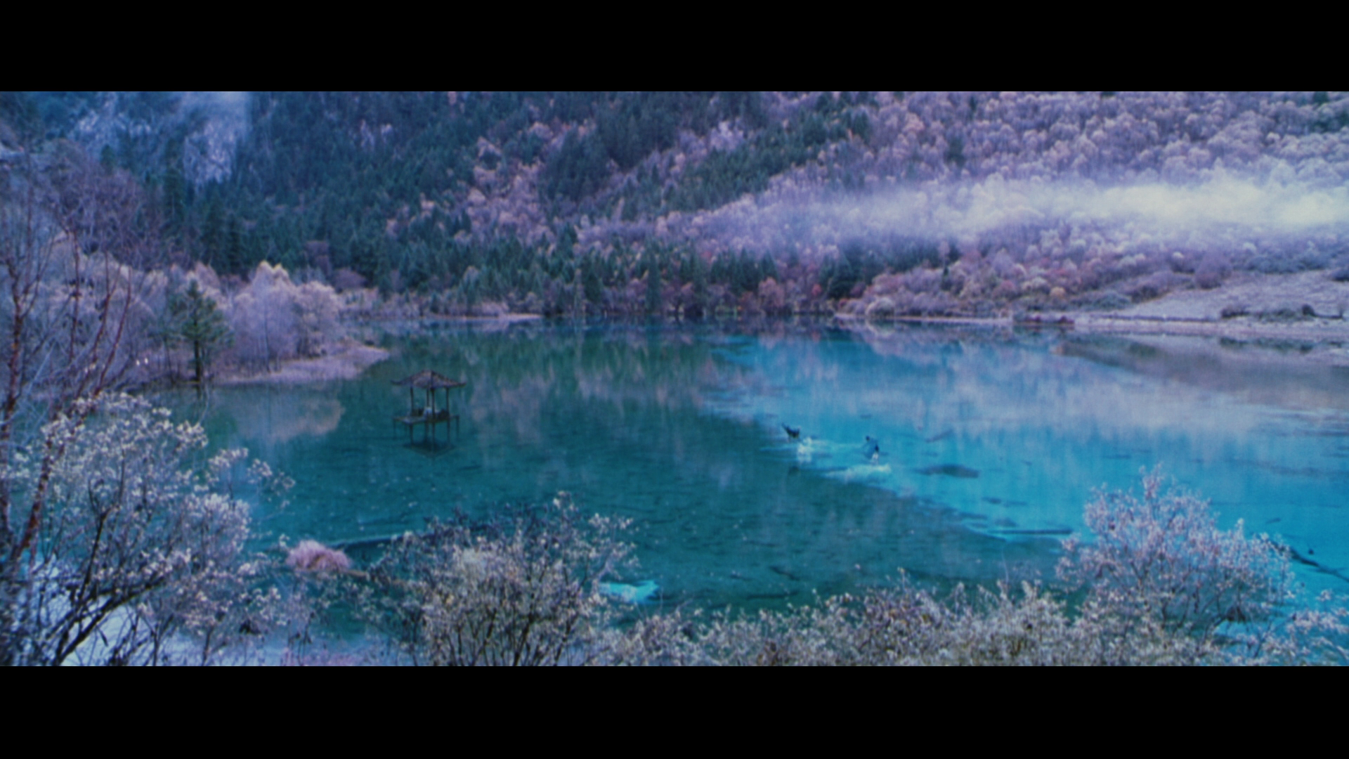 vlcsnap-2024-07-13-19h15m27s776.png