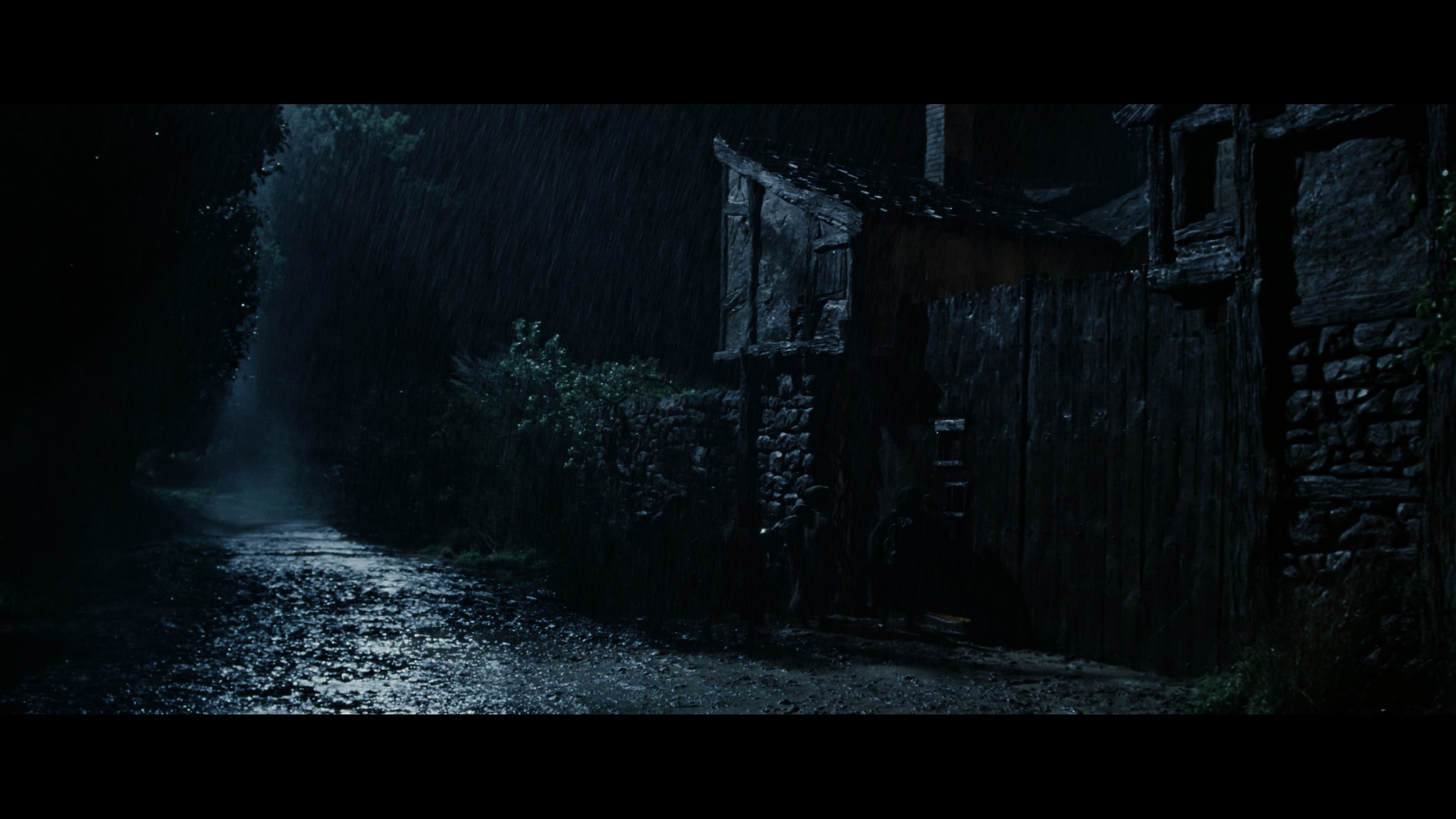 The Lord of the Rings- The Fellowship of the Ring (EXT.) PT. 1_t05.mkv_20251212_203143.340.jpg