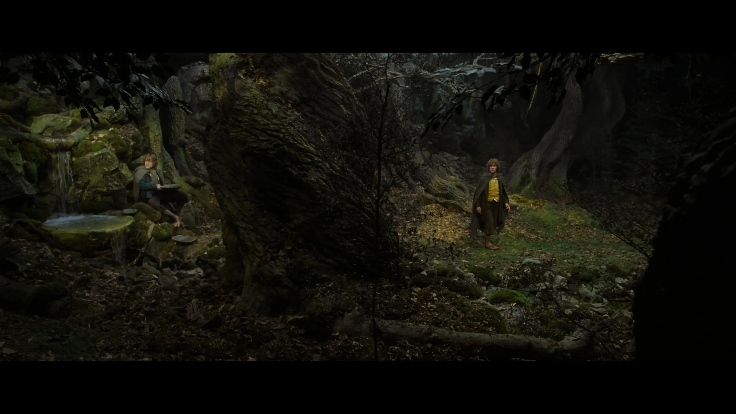 The Lord of the Rings- The Two Towers (EXT.) PT. 1-SEG FPL_MainFeature_t03.mkv_20260308_103924.509.jpg