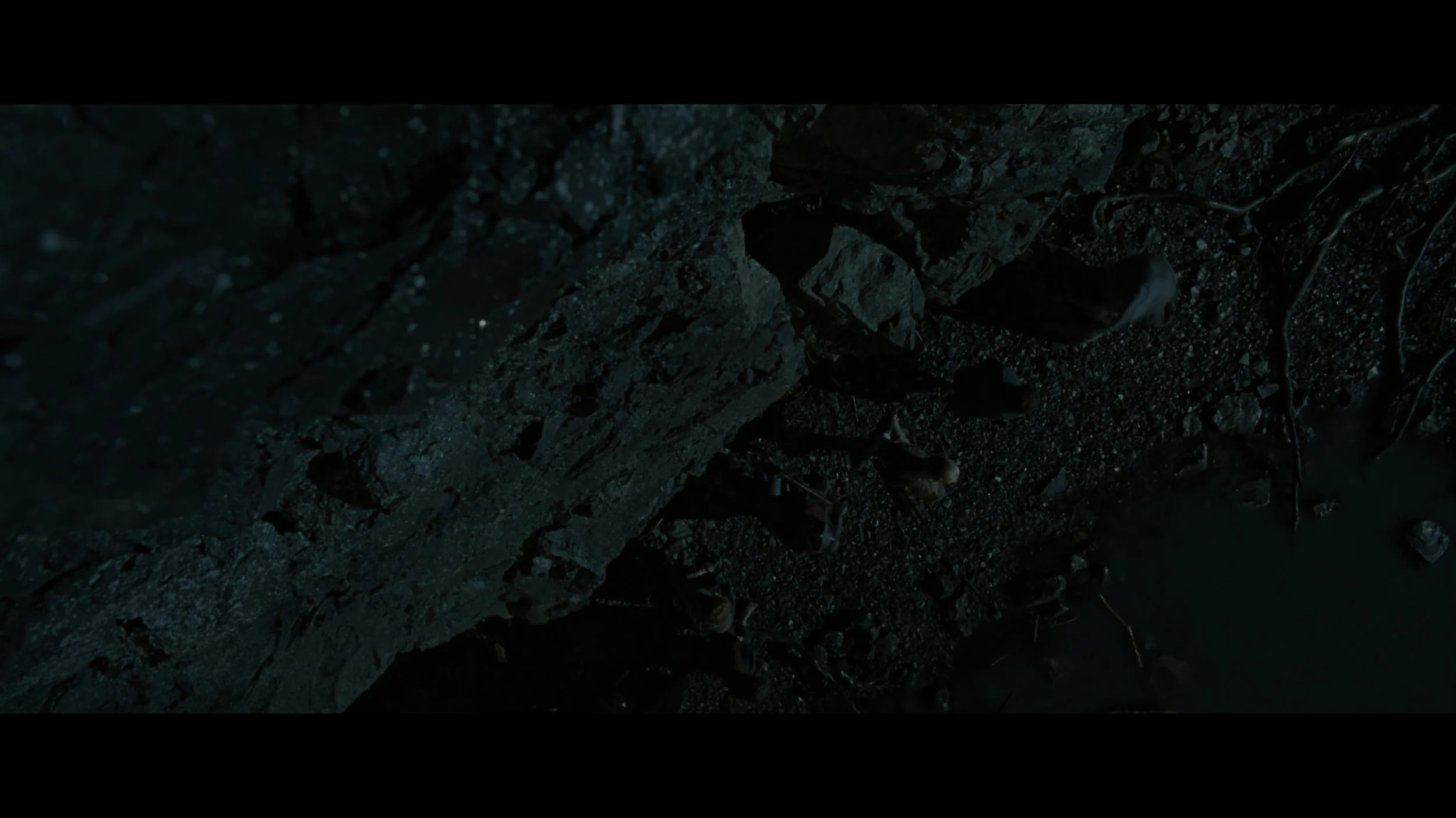 The Lord of the Rings- The Fellowship of the Ring (EXT.) PT. 2-SEG FPL_MainFeature_t02.mkv_20260307_091735.253.jpg