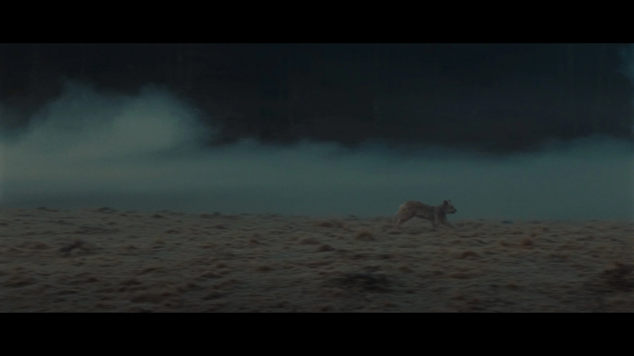 BROTHERHOOD OF THE WOLF_t00.mkv_20251206_204141.569.jpg