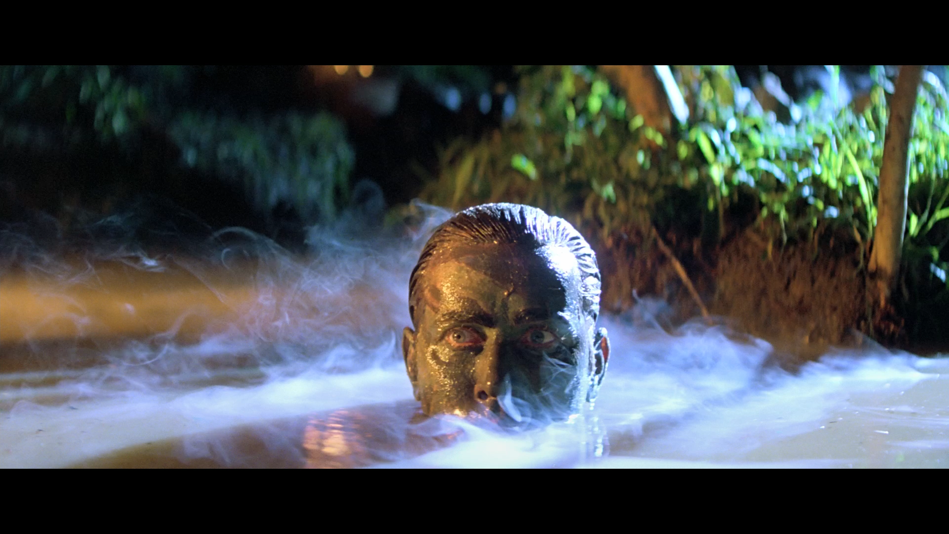  1970s, Francis Ford Coppola 