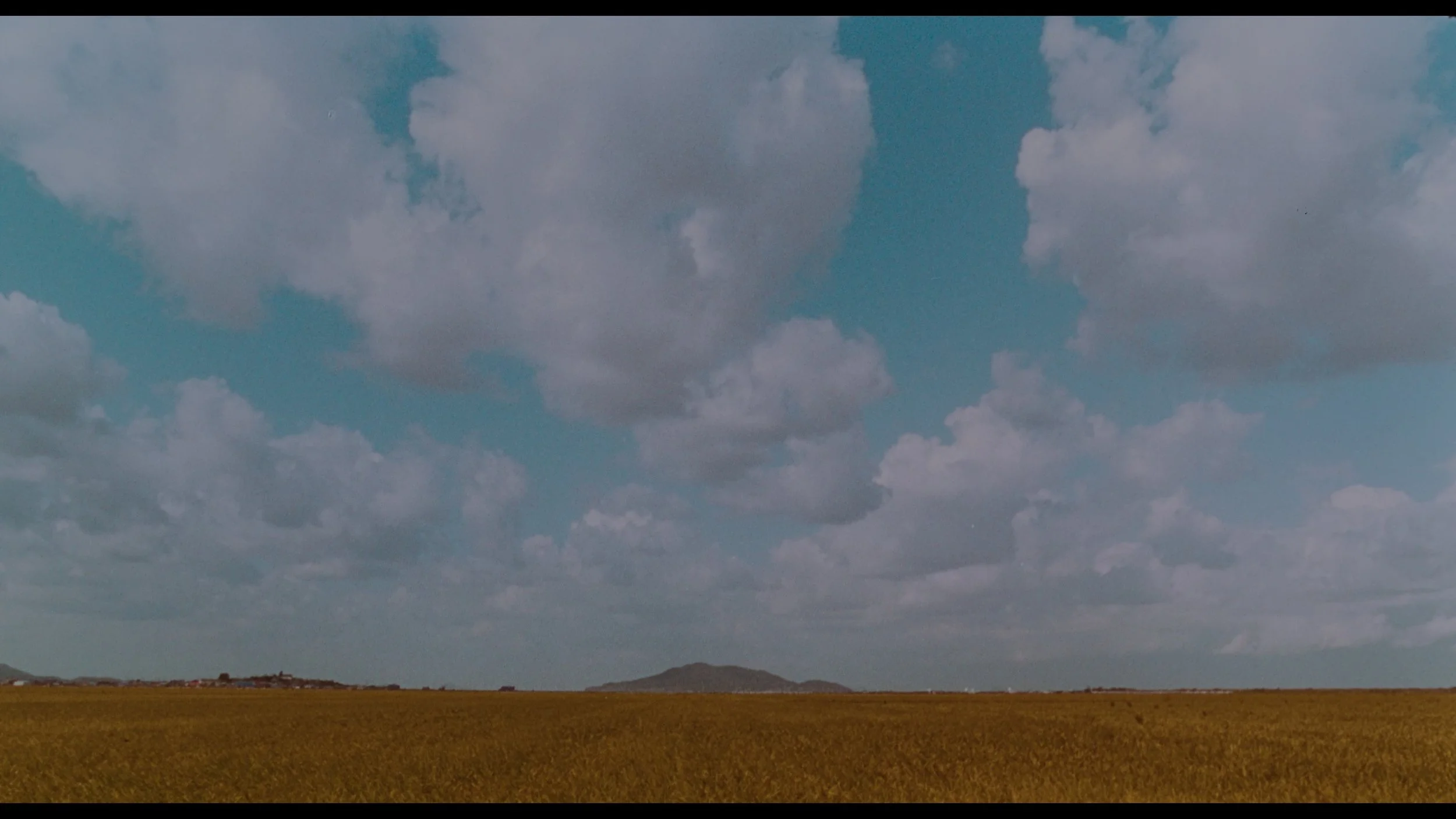 Memories Of Murder_t00.mkv_20260419_122036.132.jpg