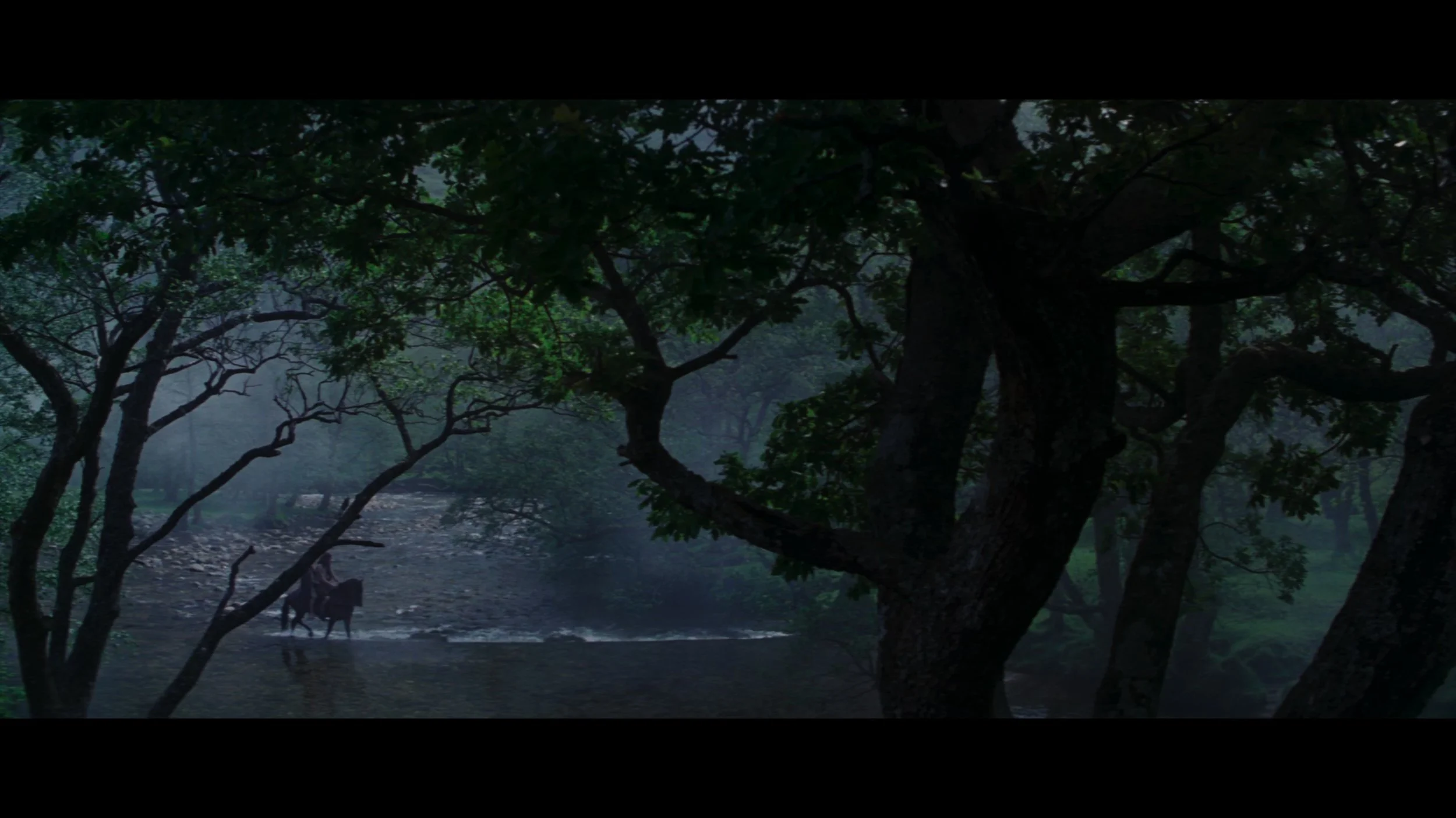Braveheart_t00.mkv_20260517_152808.844.jpg