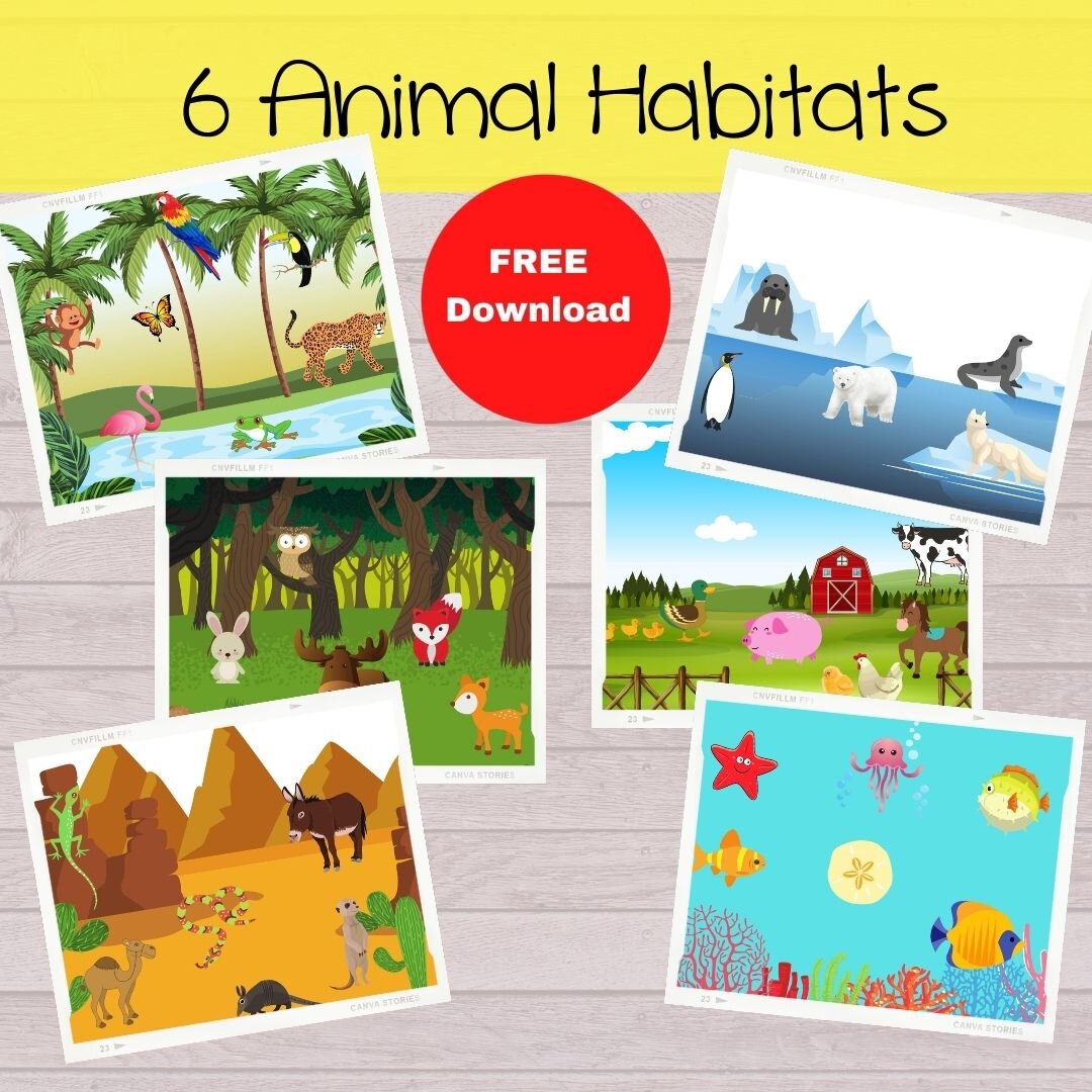 Animal Habitats Through Drama
