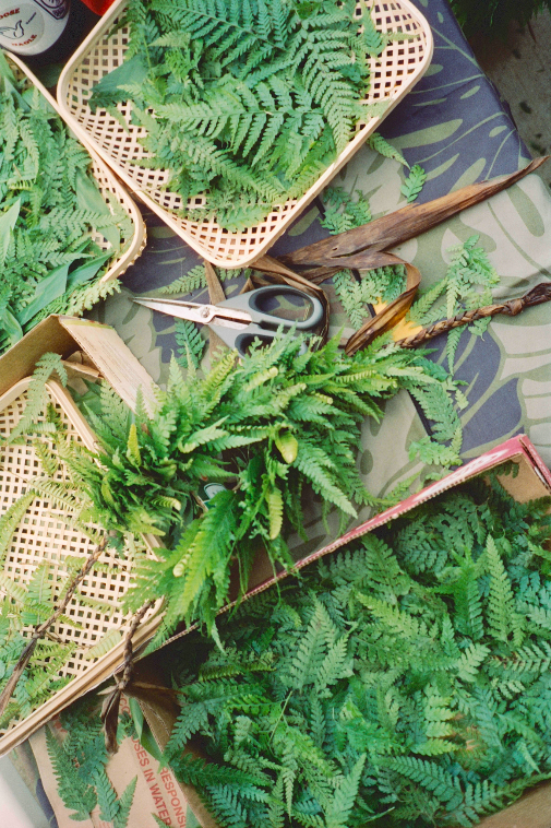 Screen Shot 2025-03-04 at 4.49.41 PM.png