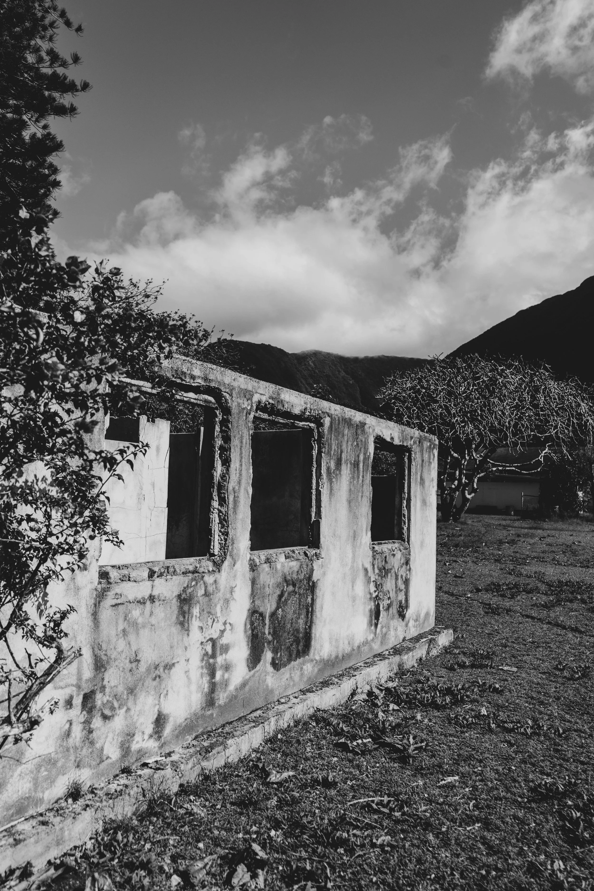 MRACOSTUDIO_Kalaupapa_202502375.jpg
