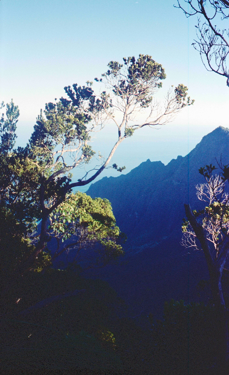 Screen Shot 2025-03-04 at 5.21.25 PM.png