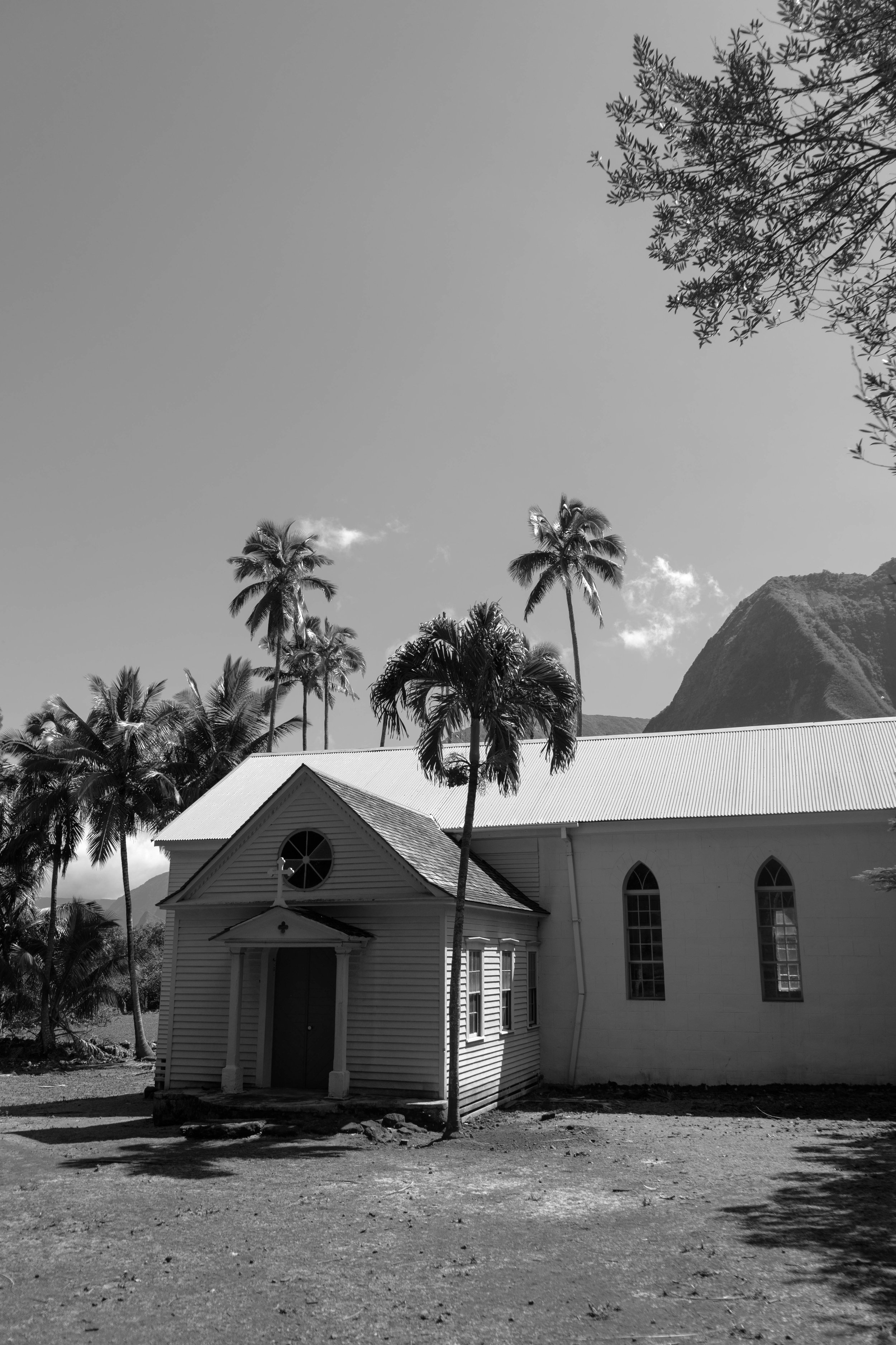MRACOSTUDIO_Kalaupapa_202502150-2.jpg