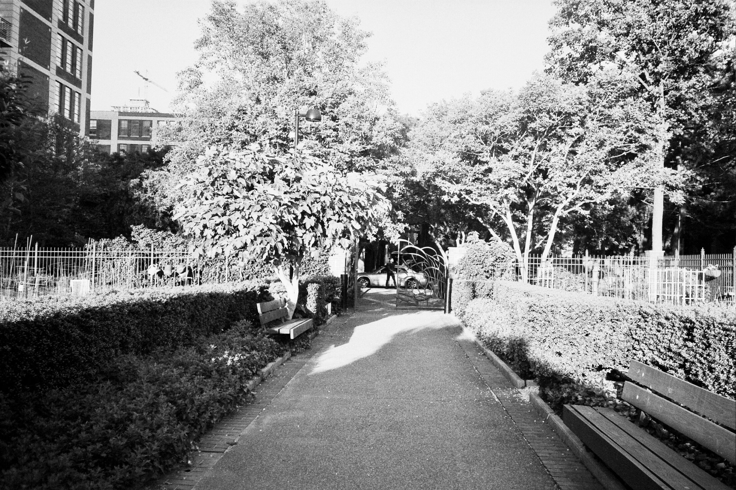 29A_0445.jpg