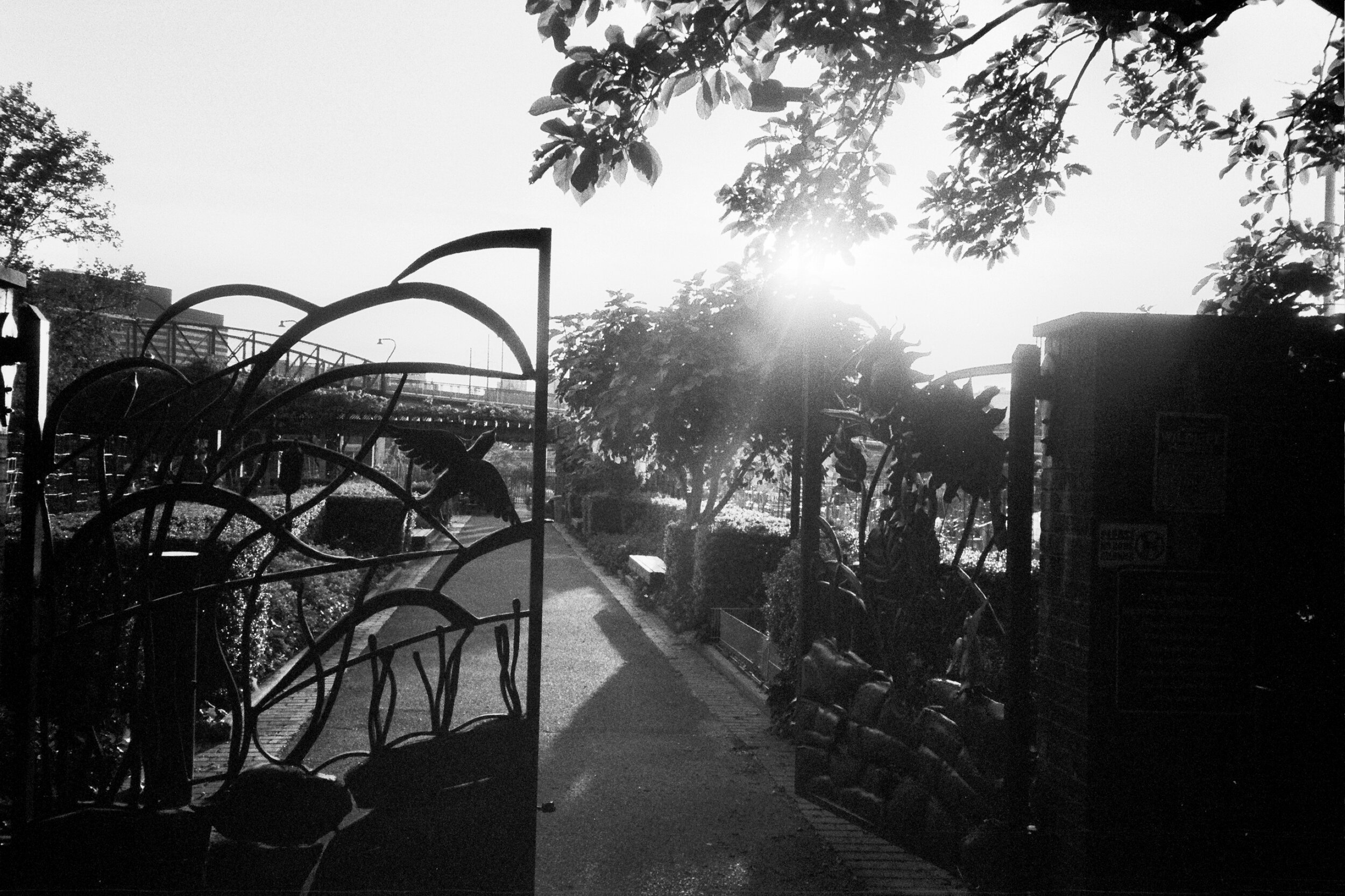 31A_0447.jpg