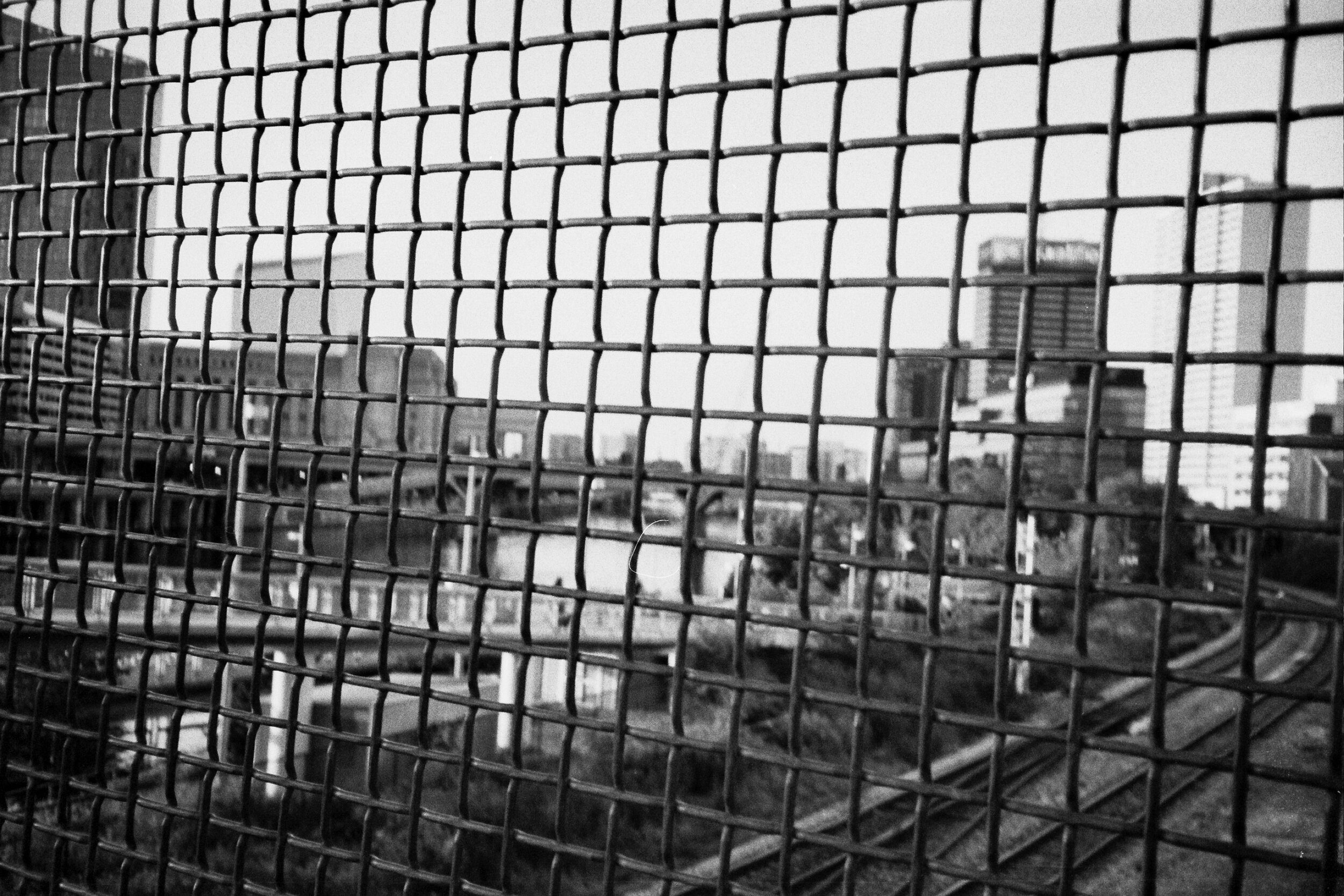 33A_0449.jpg