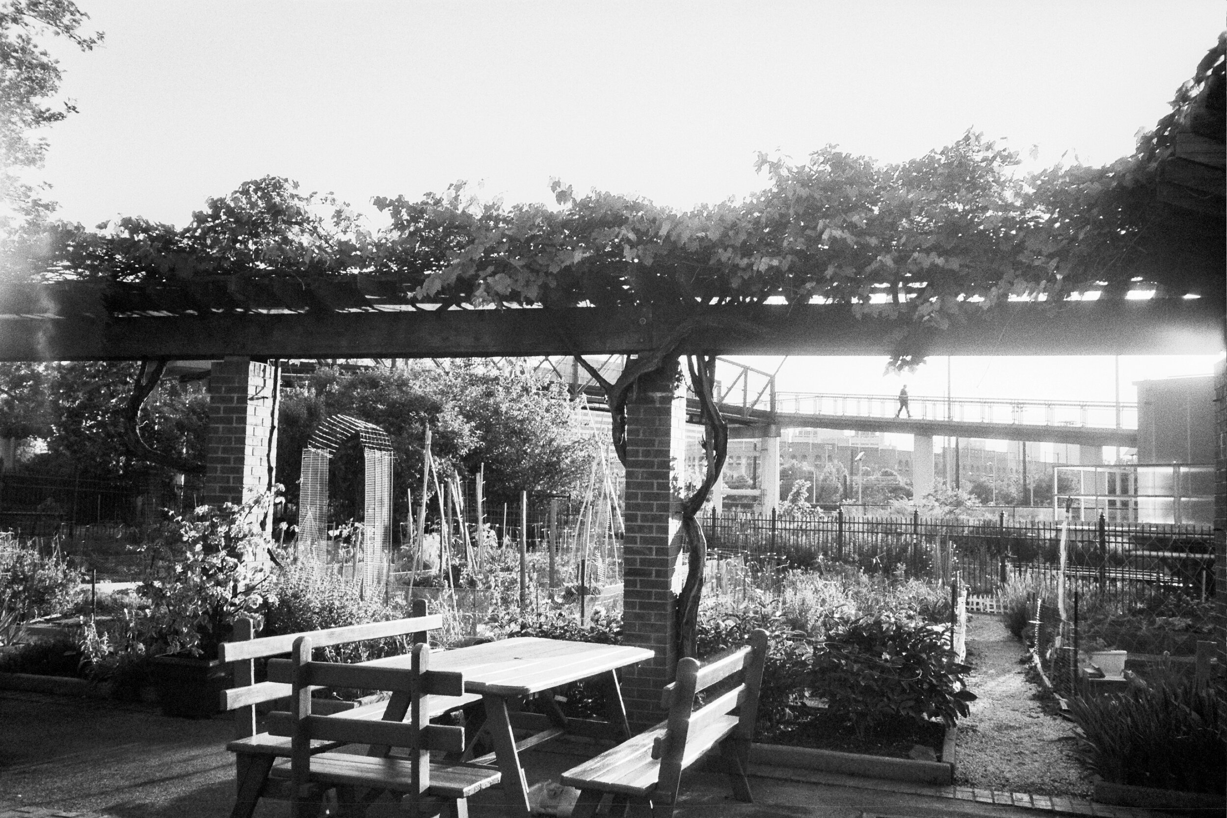 26A_0442.jpg